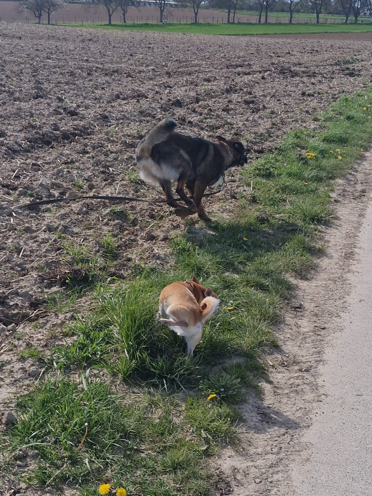 image-17