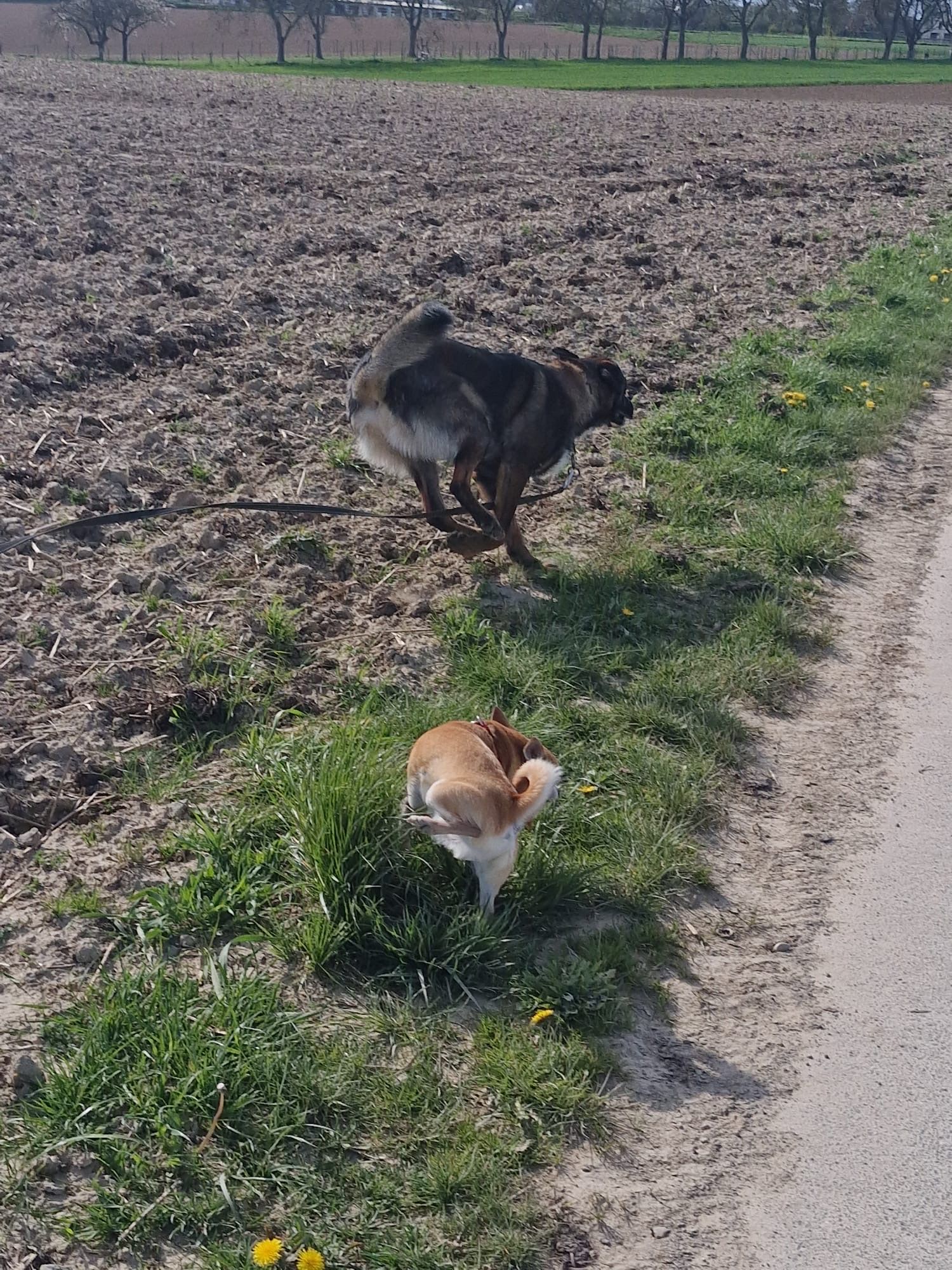 image-17