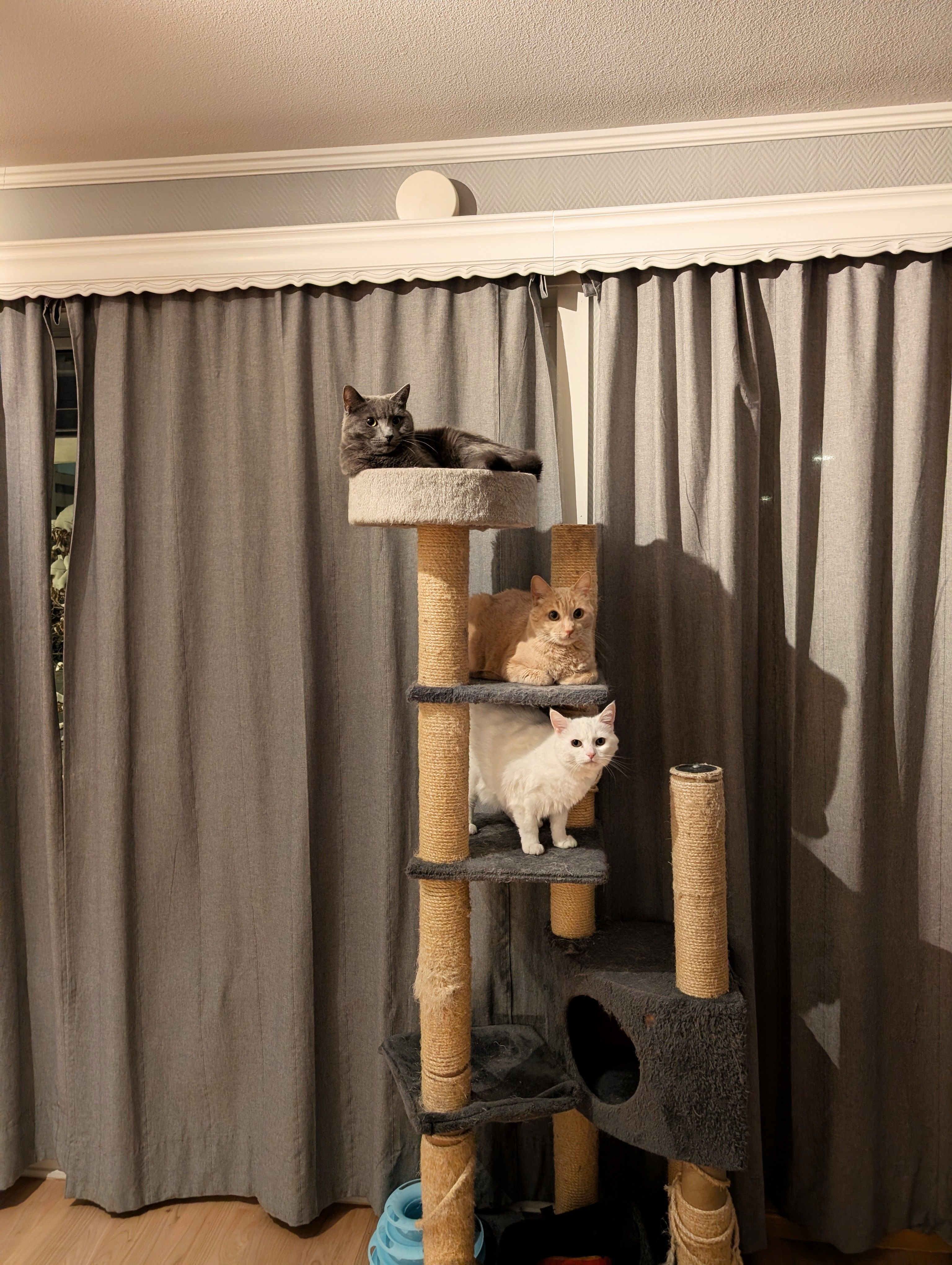 image-7