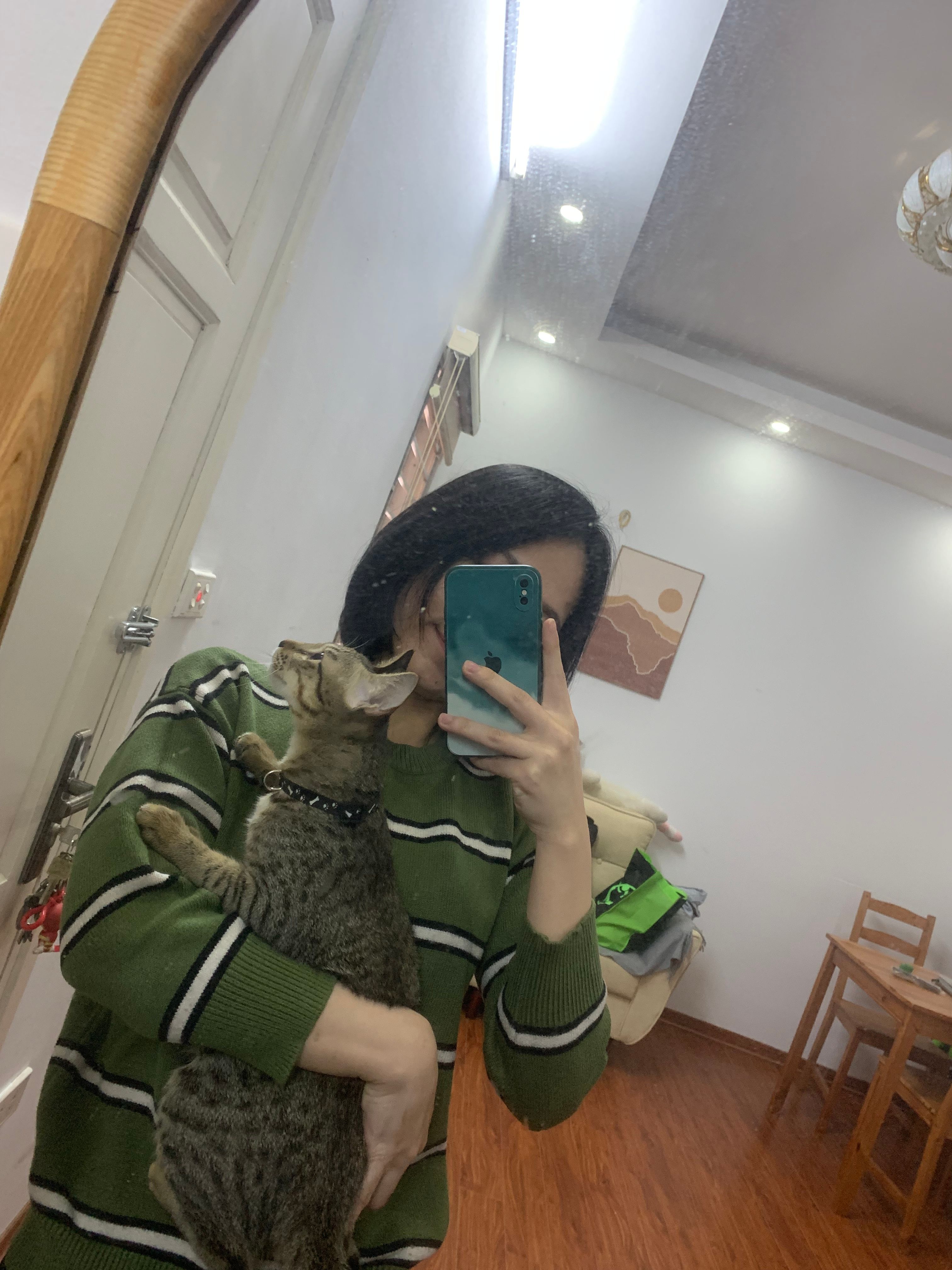 image-6