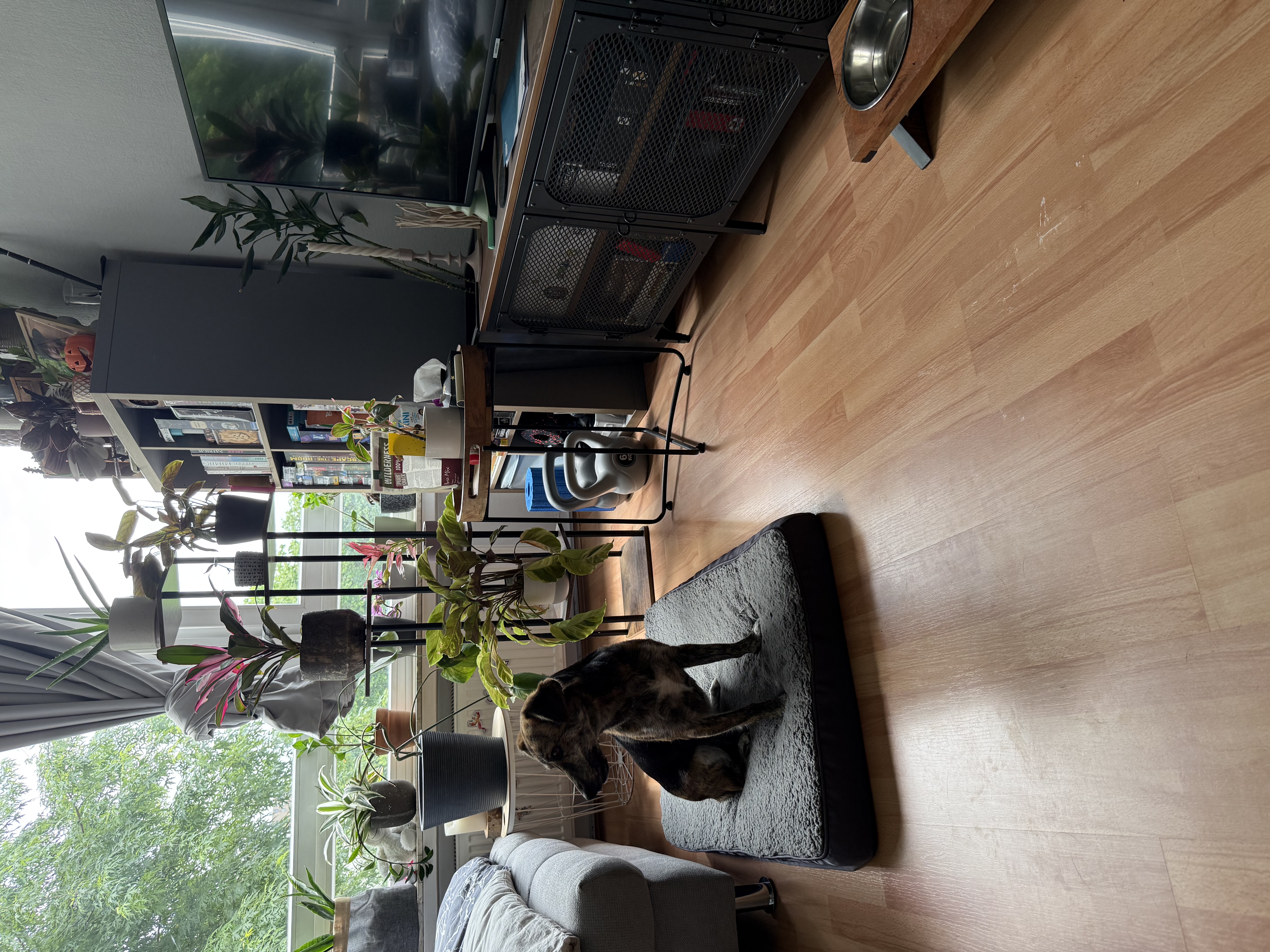 image-10