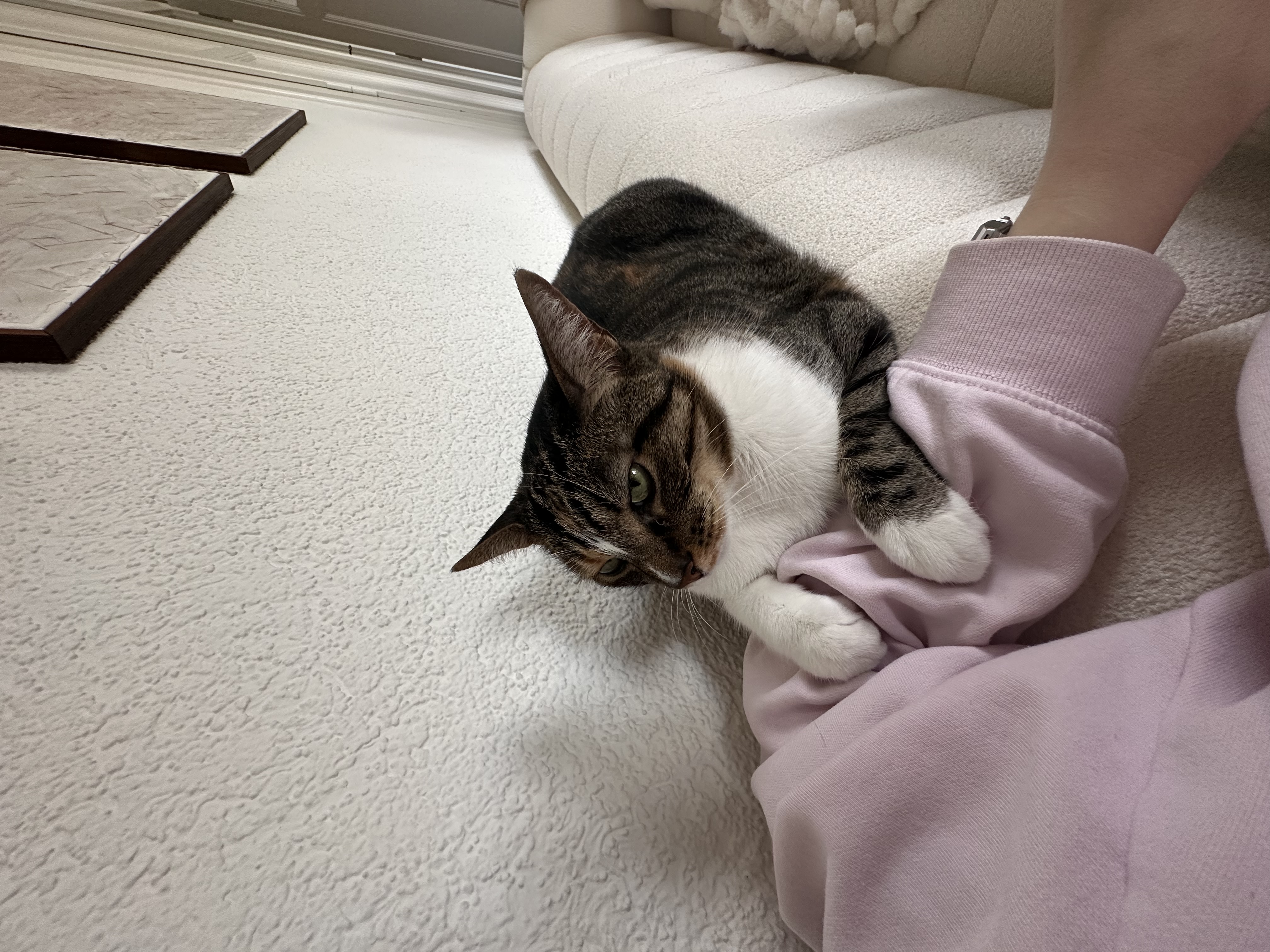 image-16