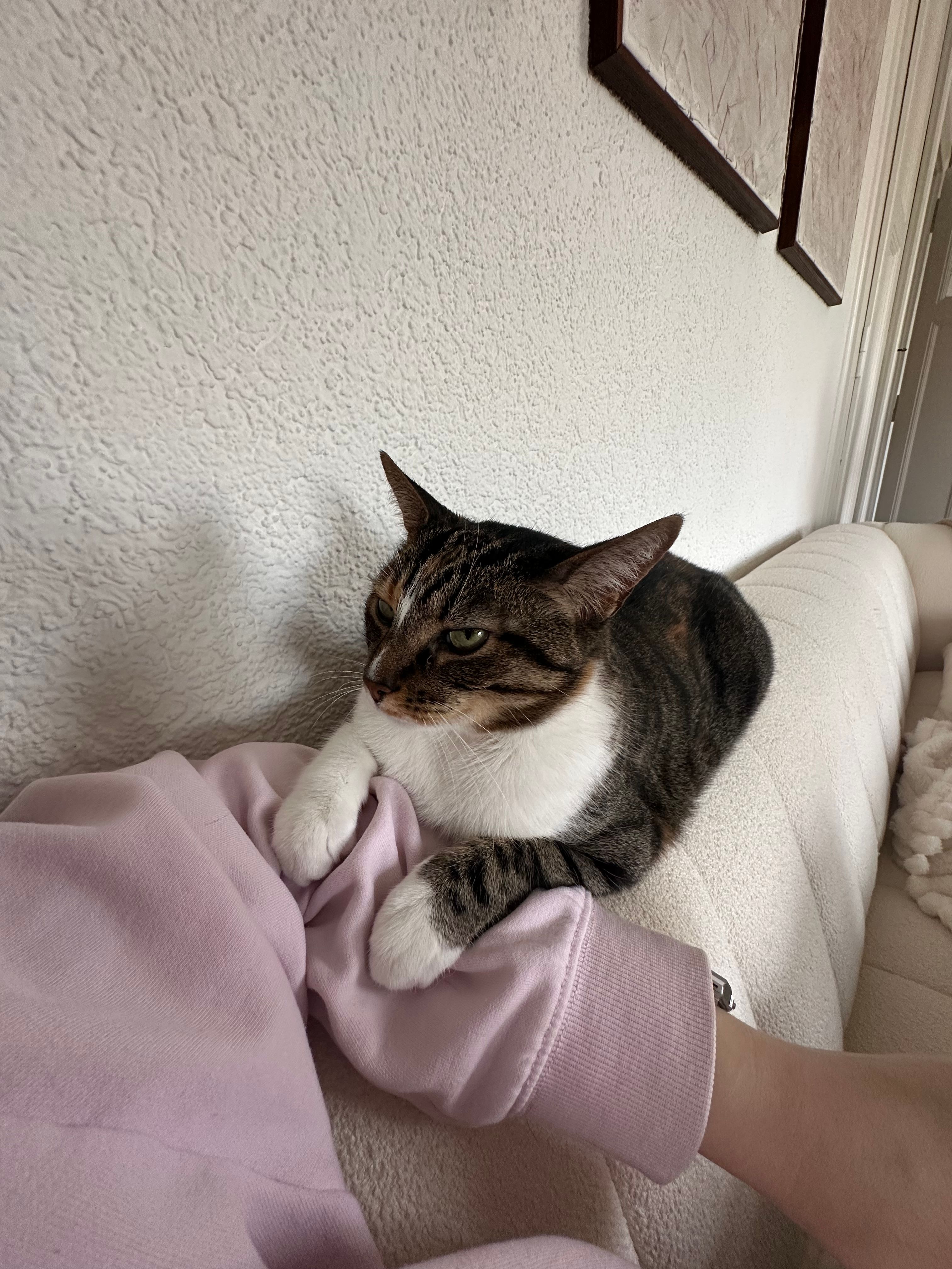 image-16