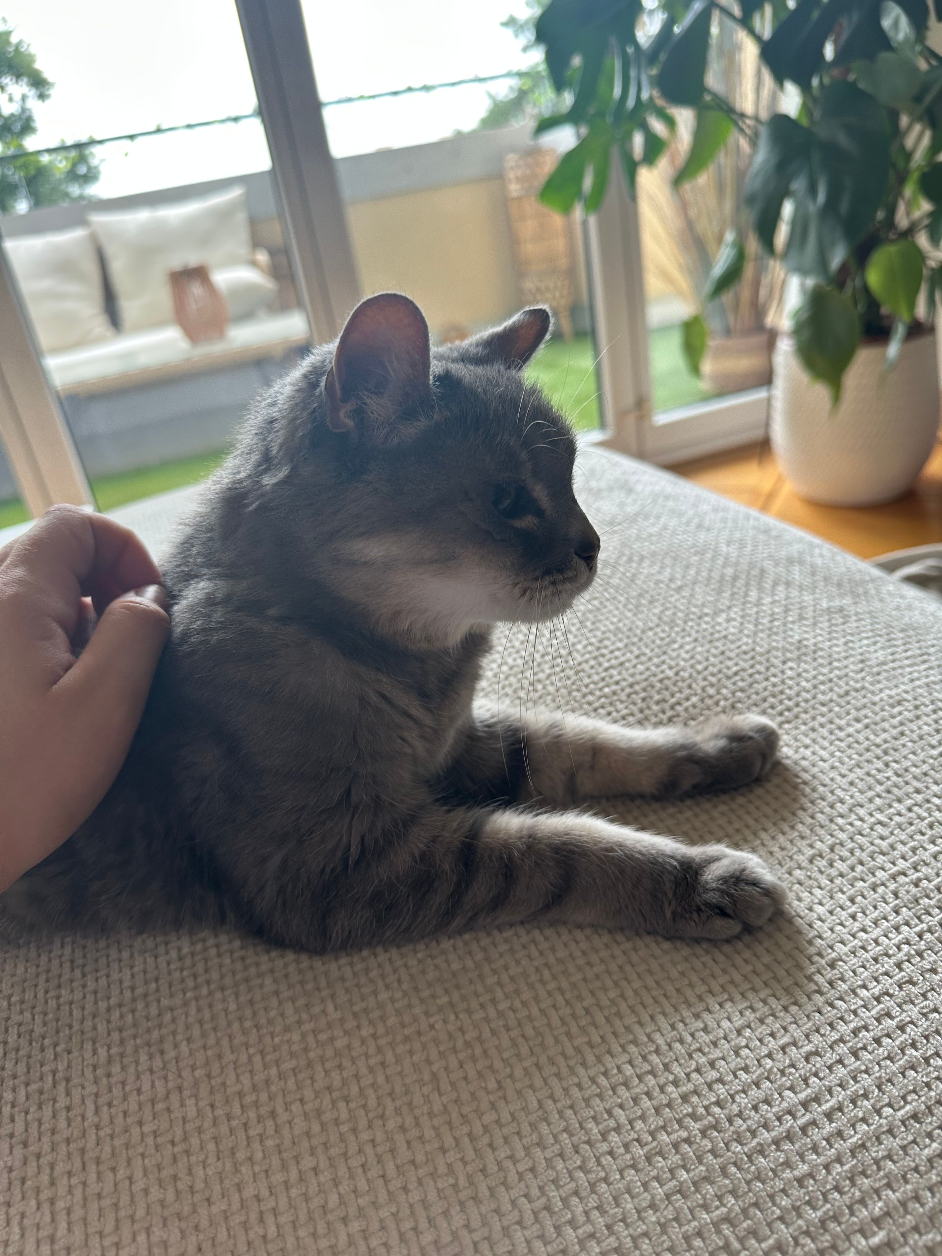 image-20