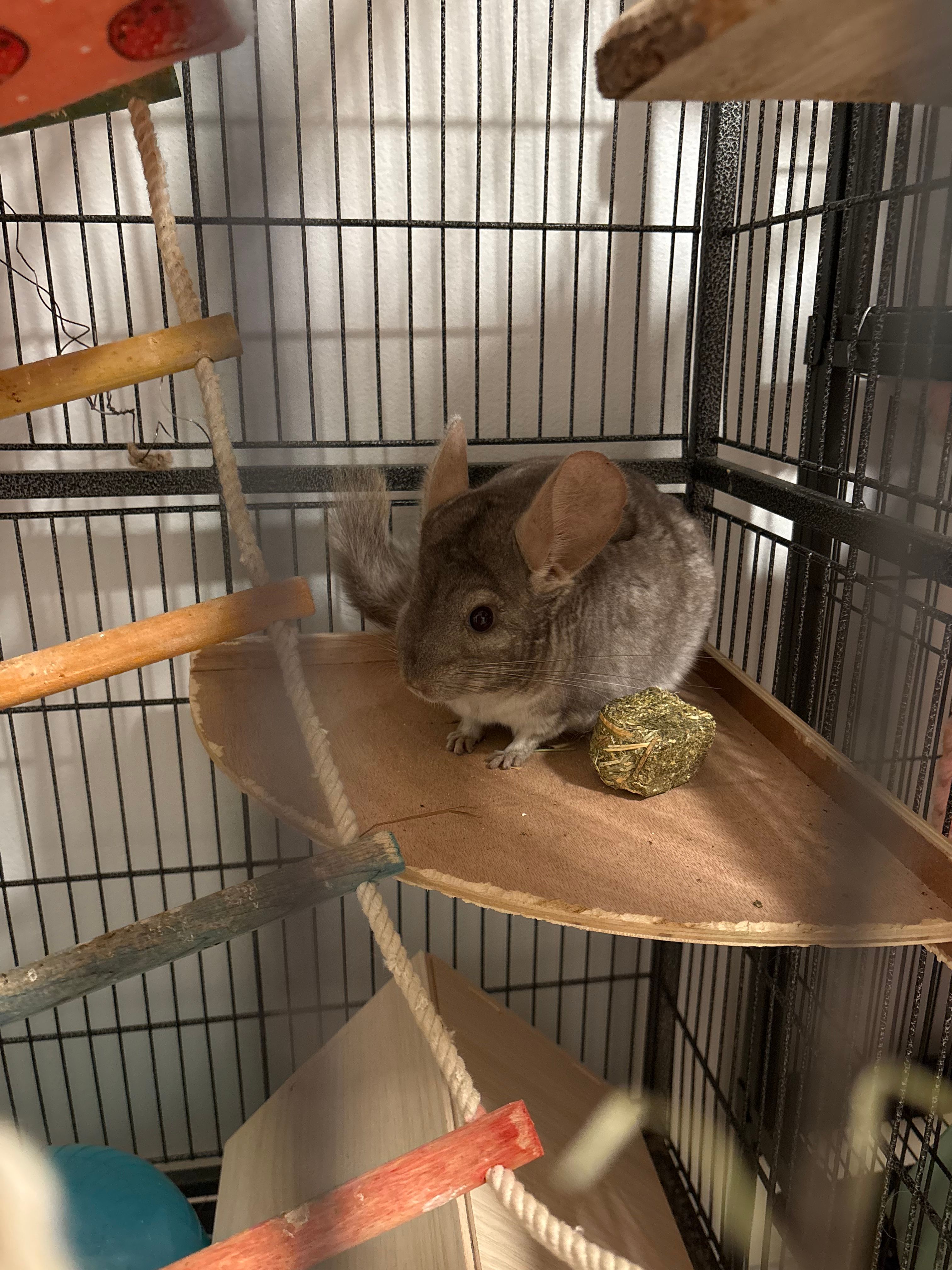 image-12