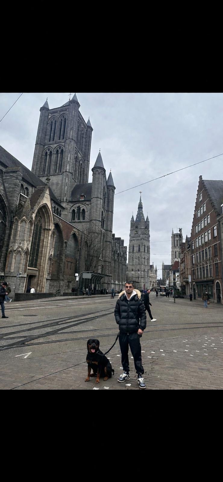 image-8