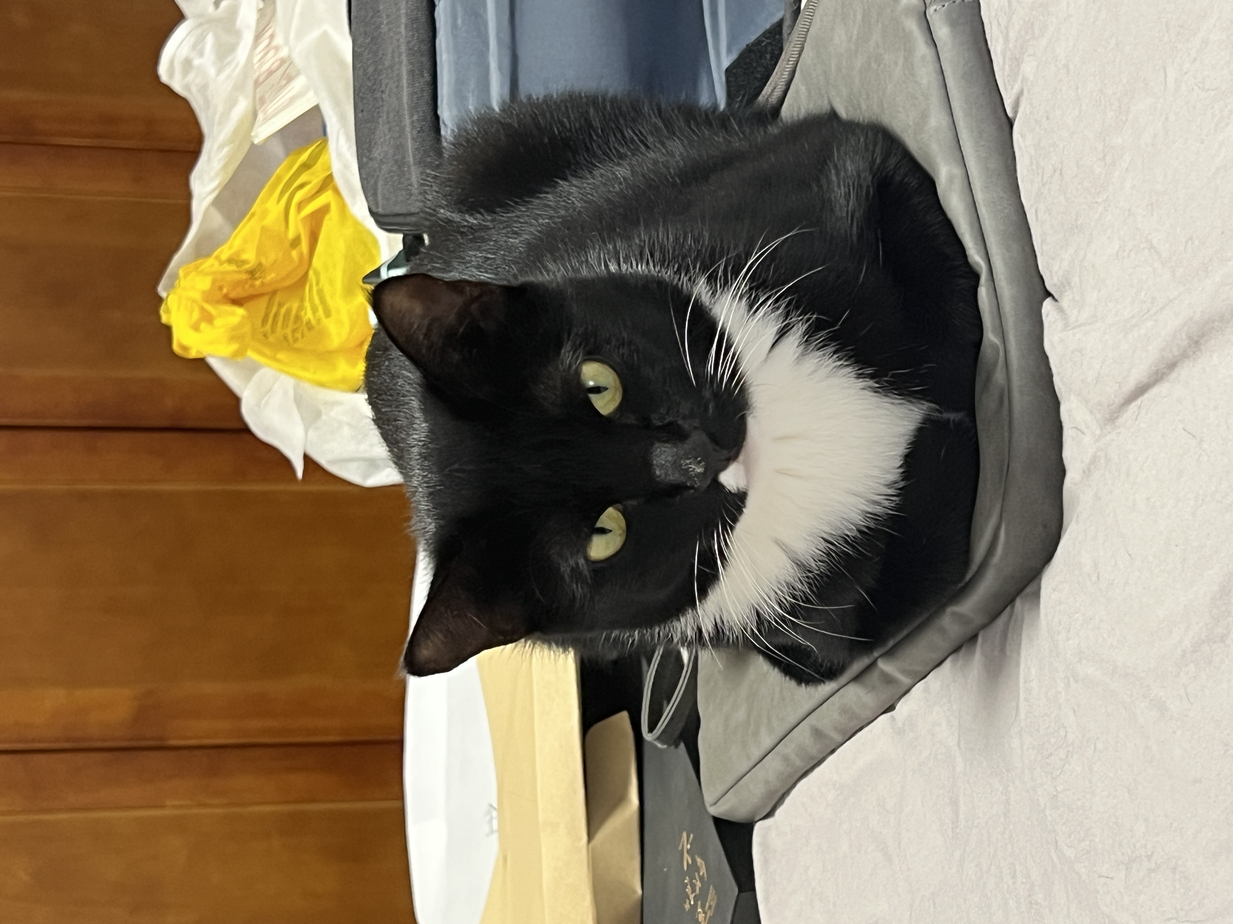 image-11