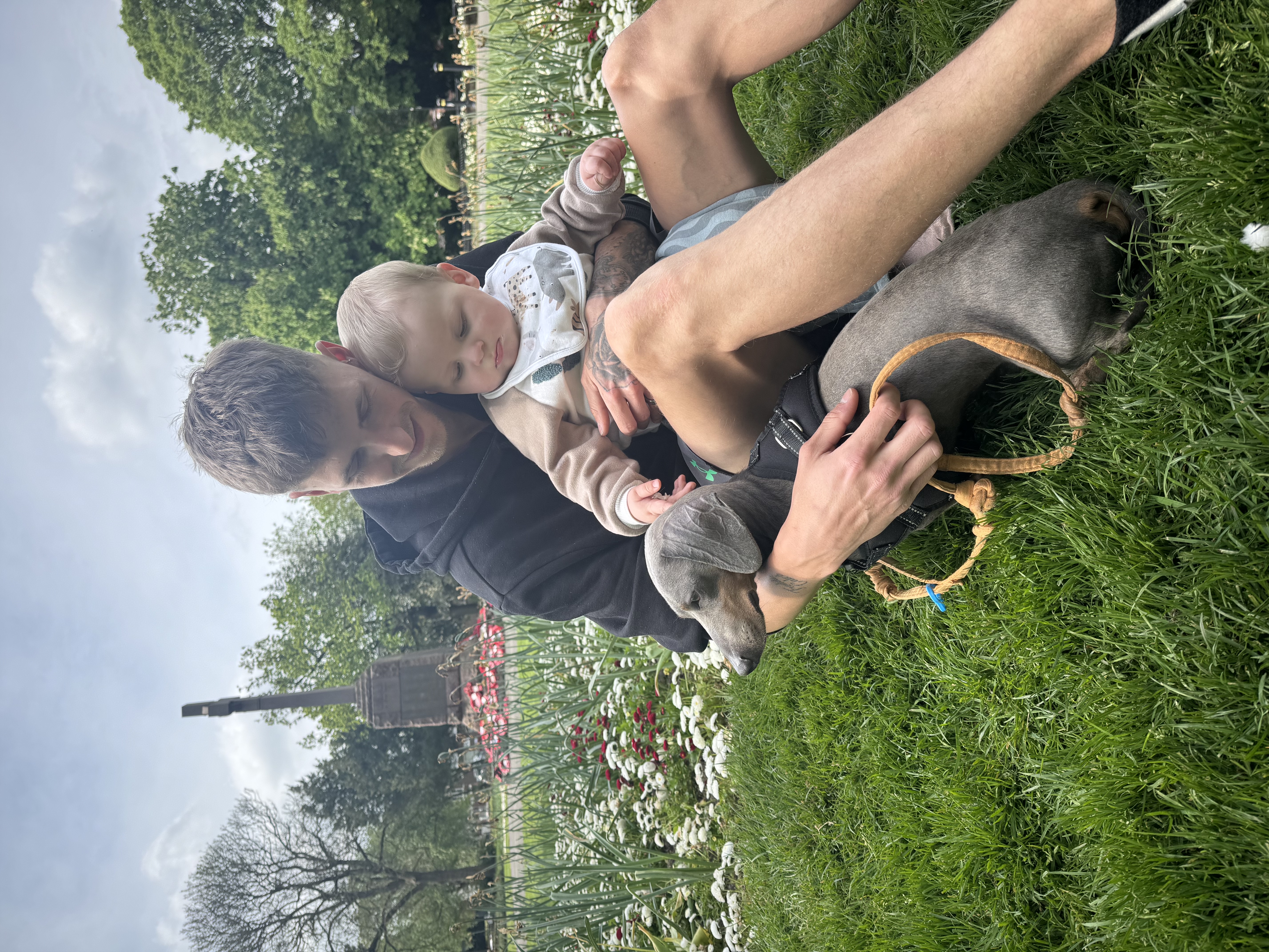 image-8