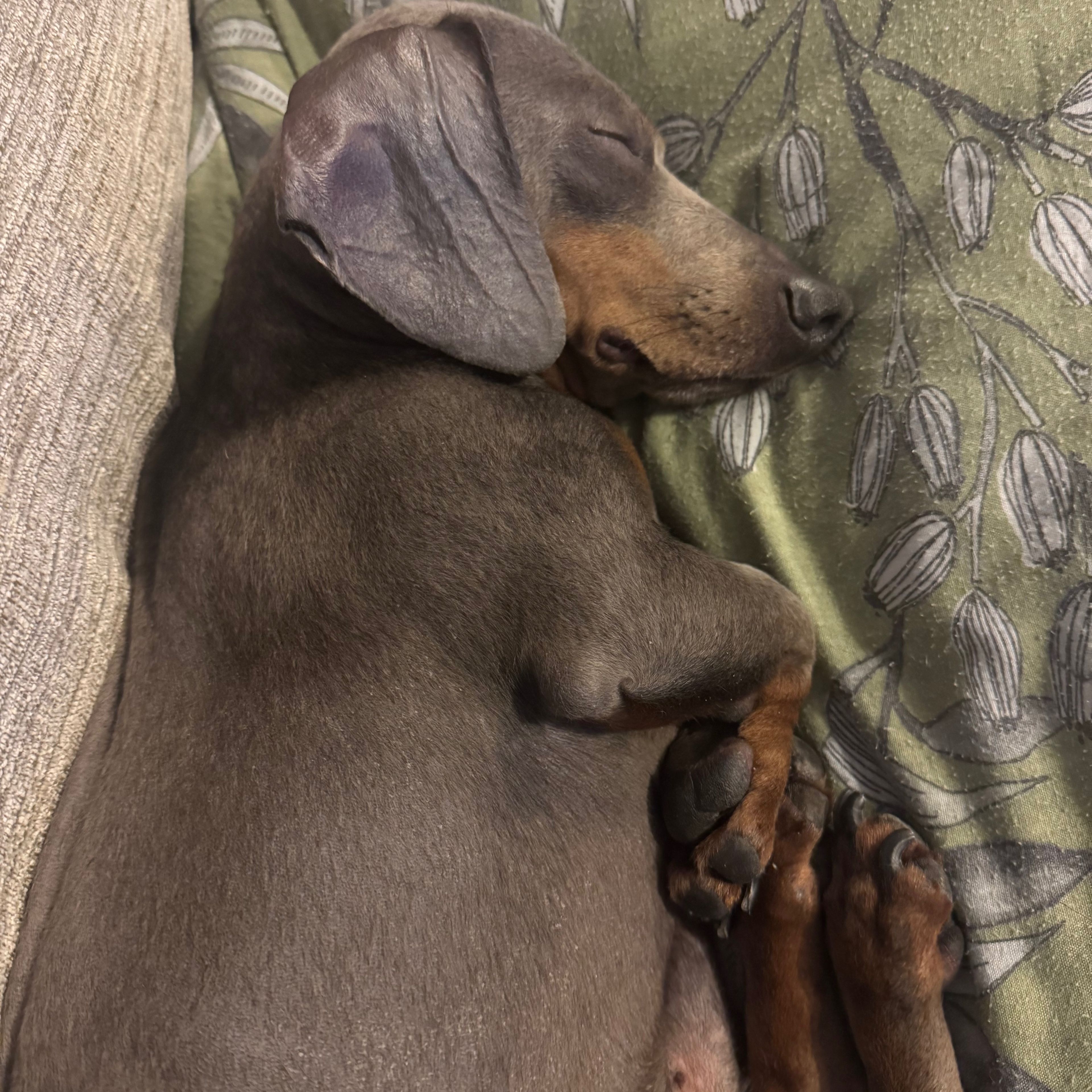 Pablo