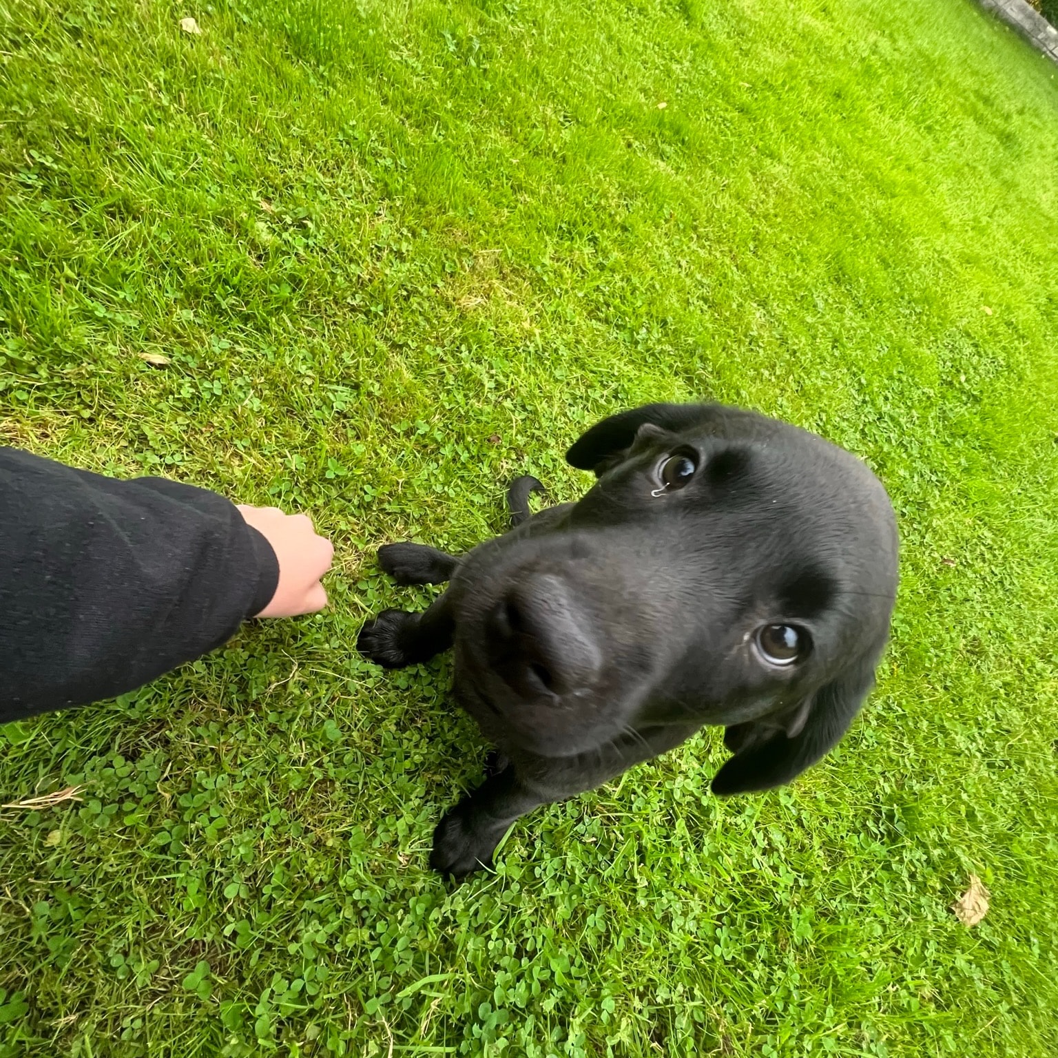 Winnie