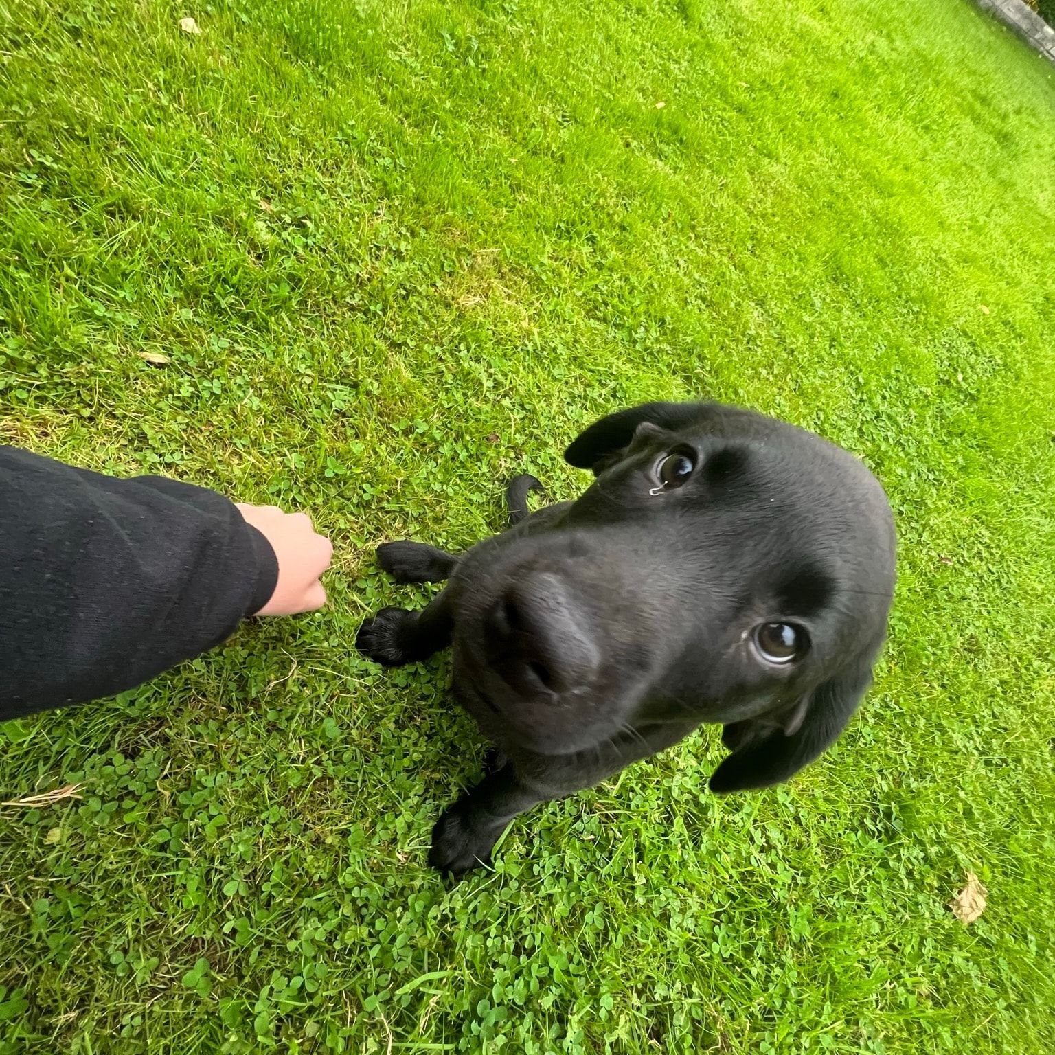 Winnie
