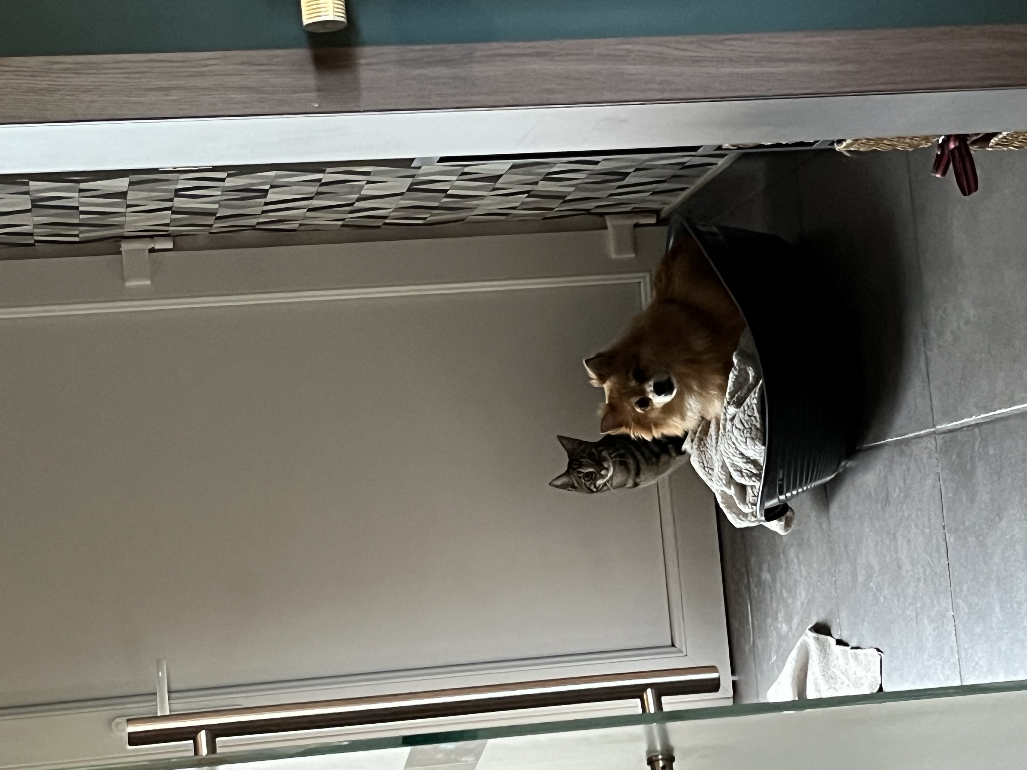image-4