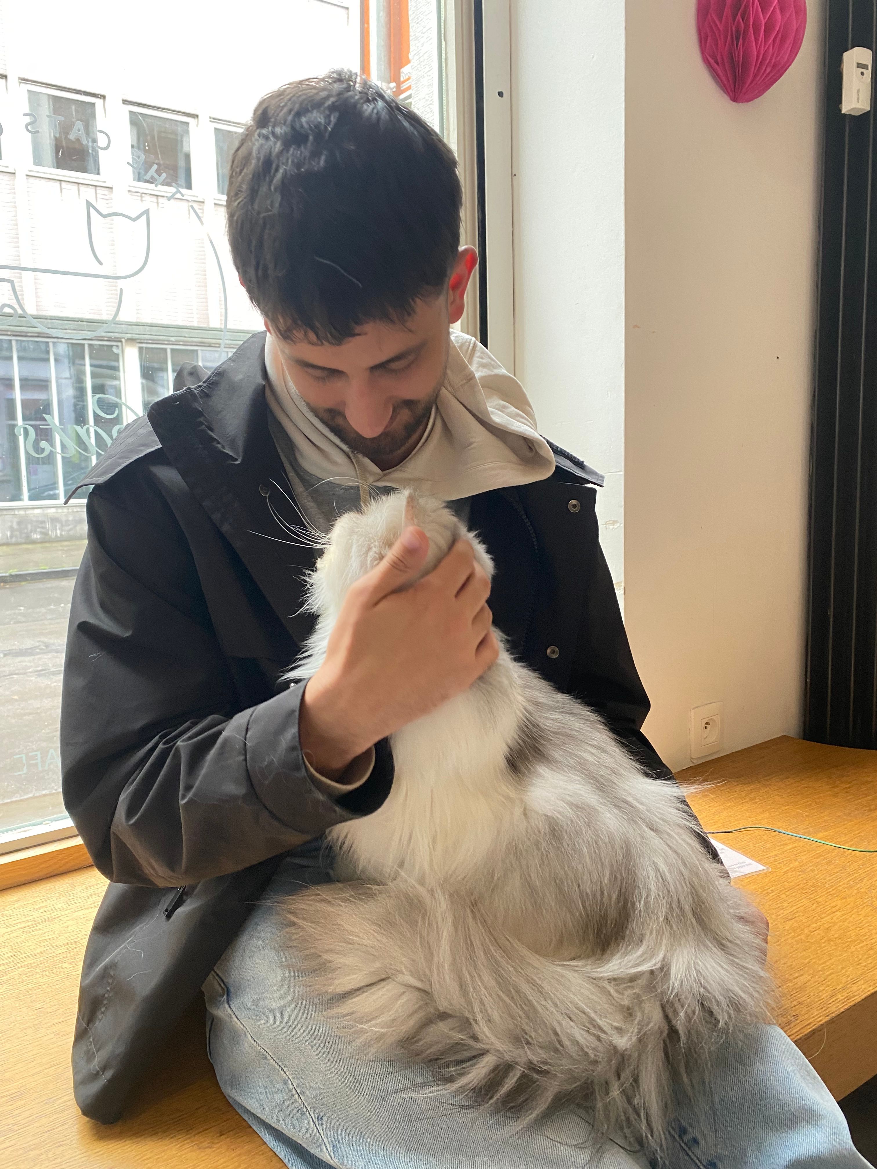 image-10