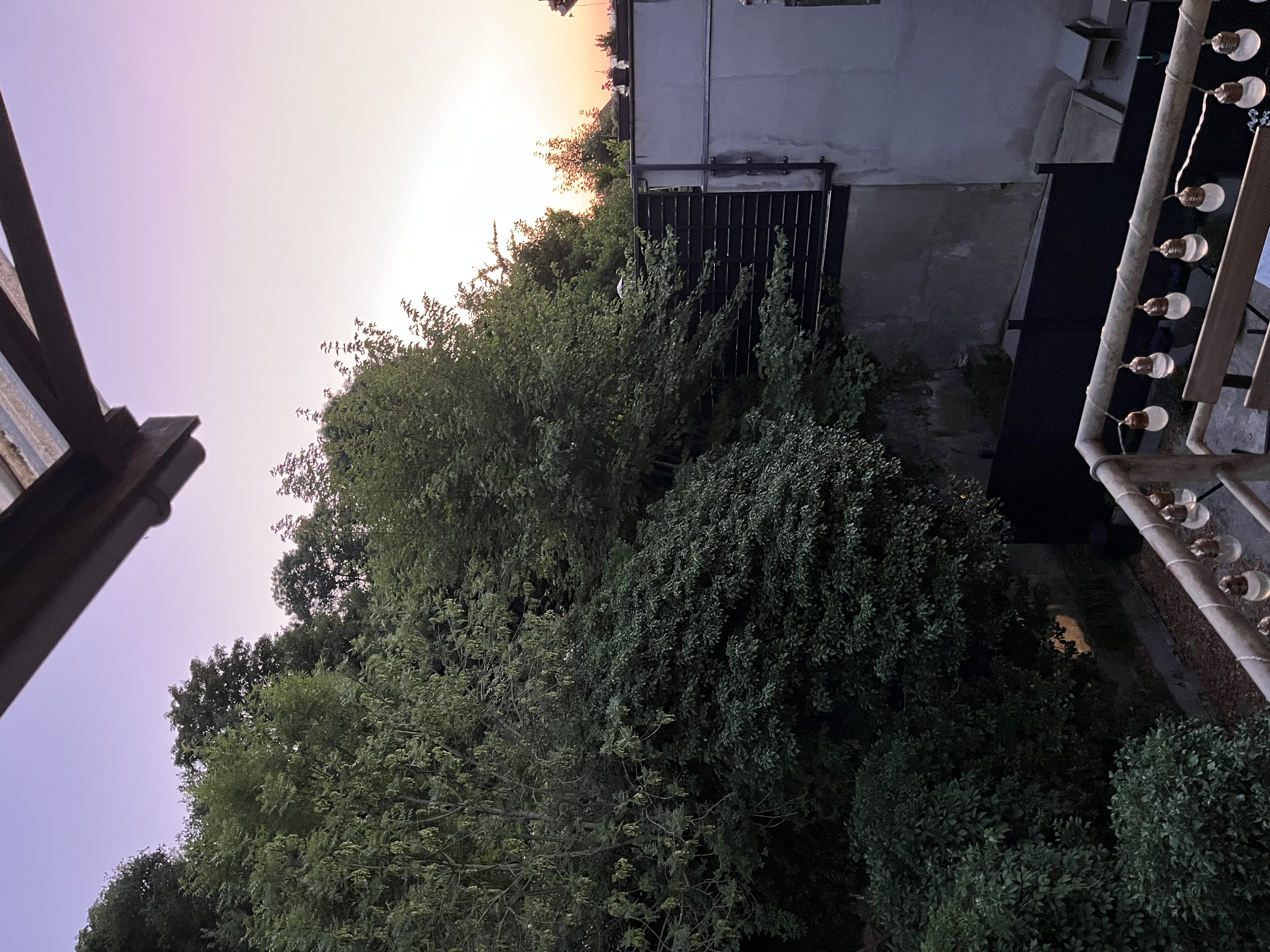 image-20