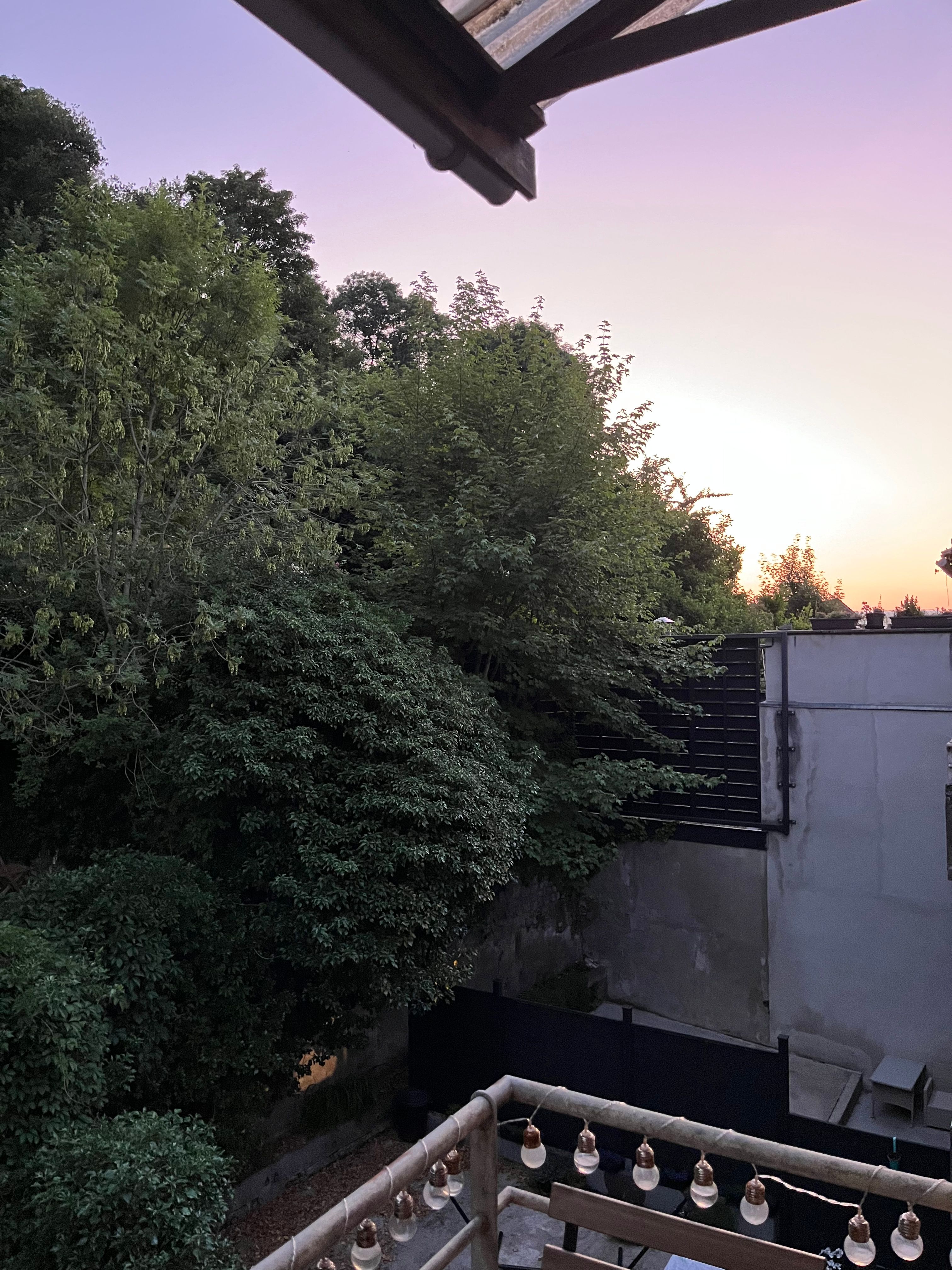 image-20