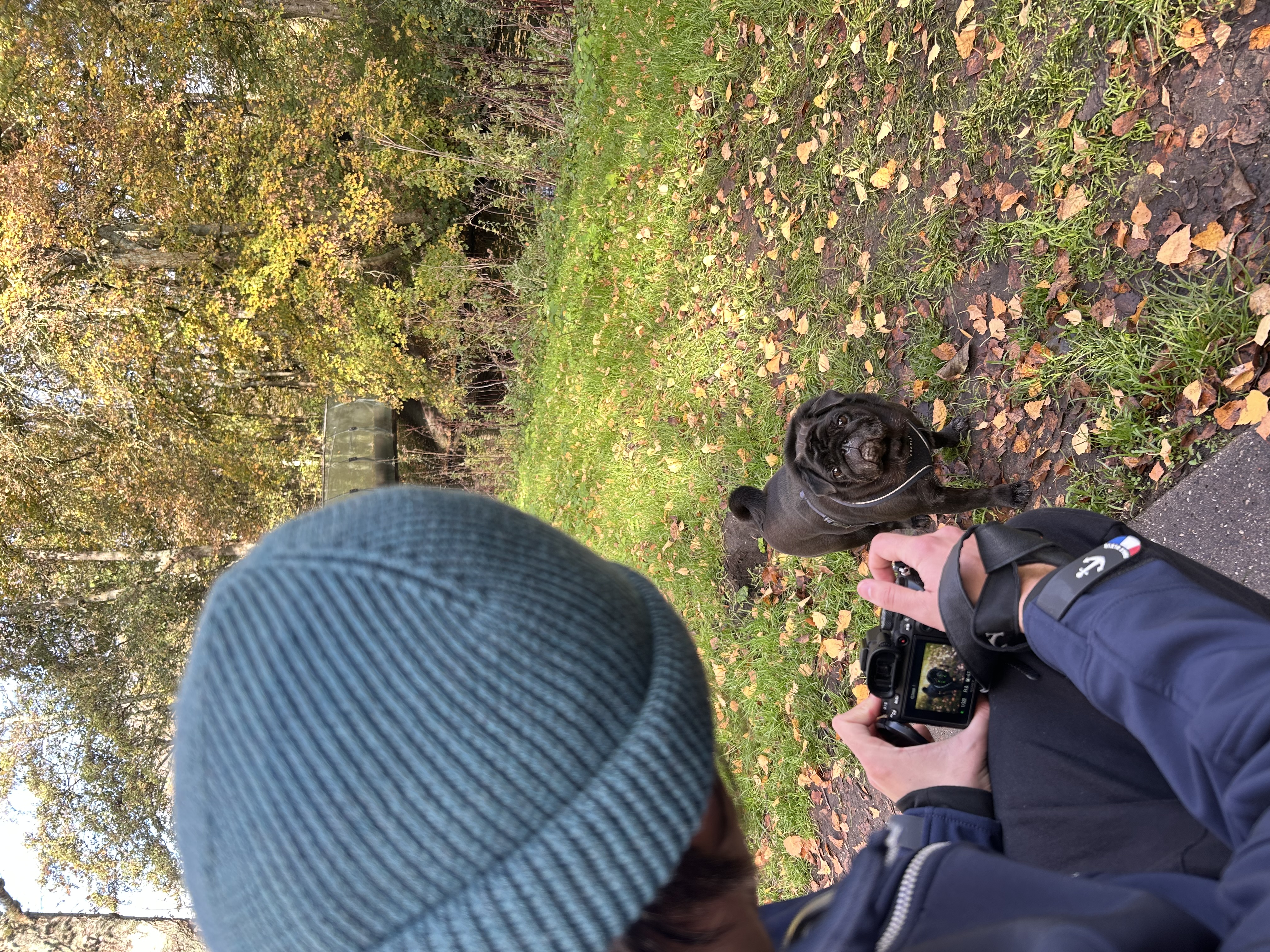 image-15