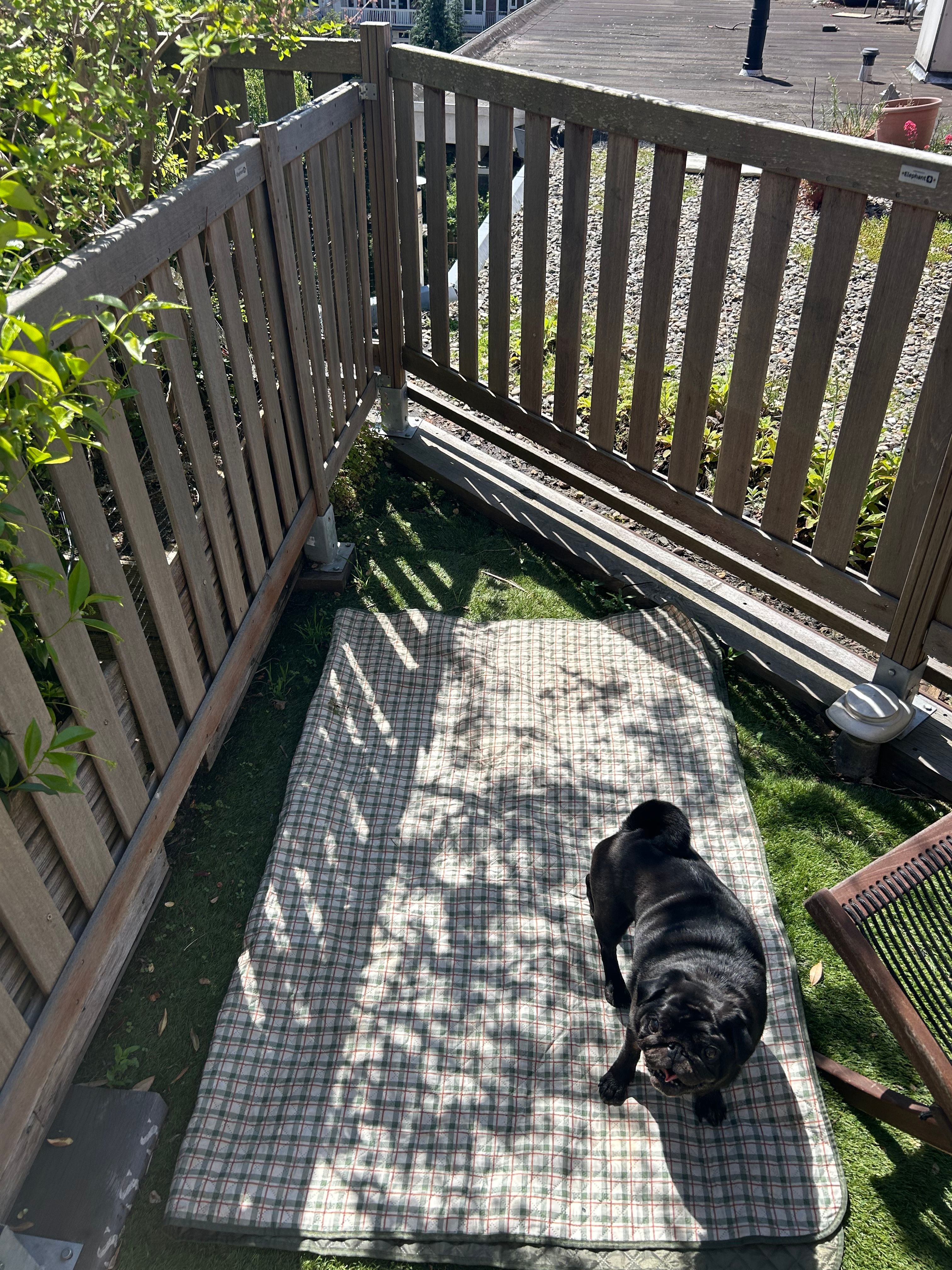 image-16