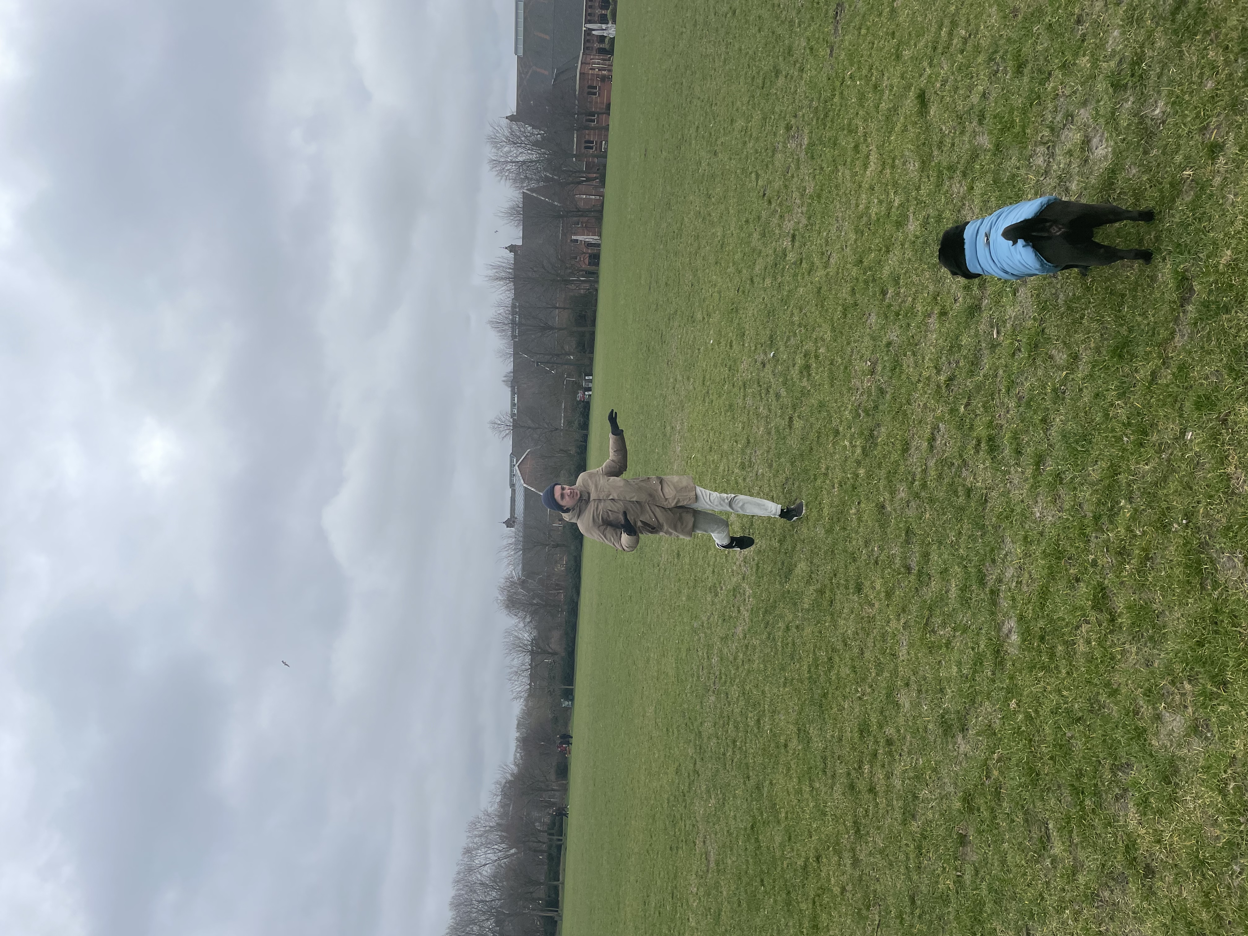 image-14