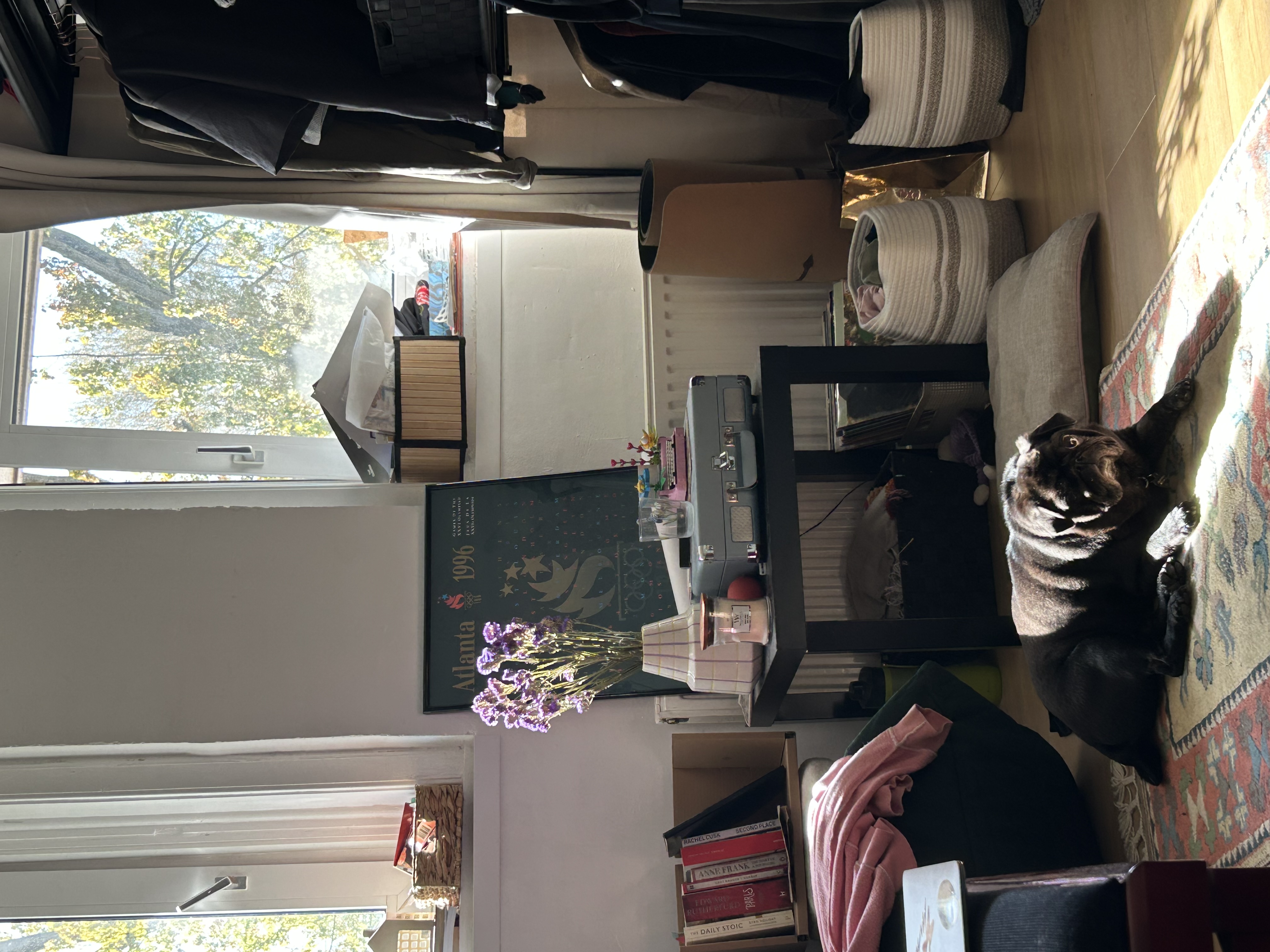 image-18