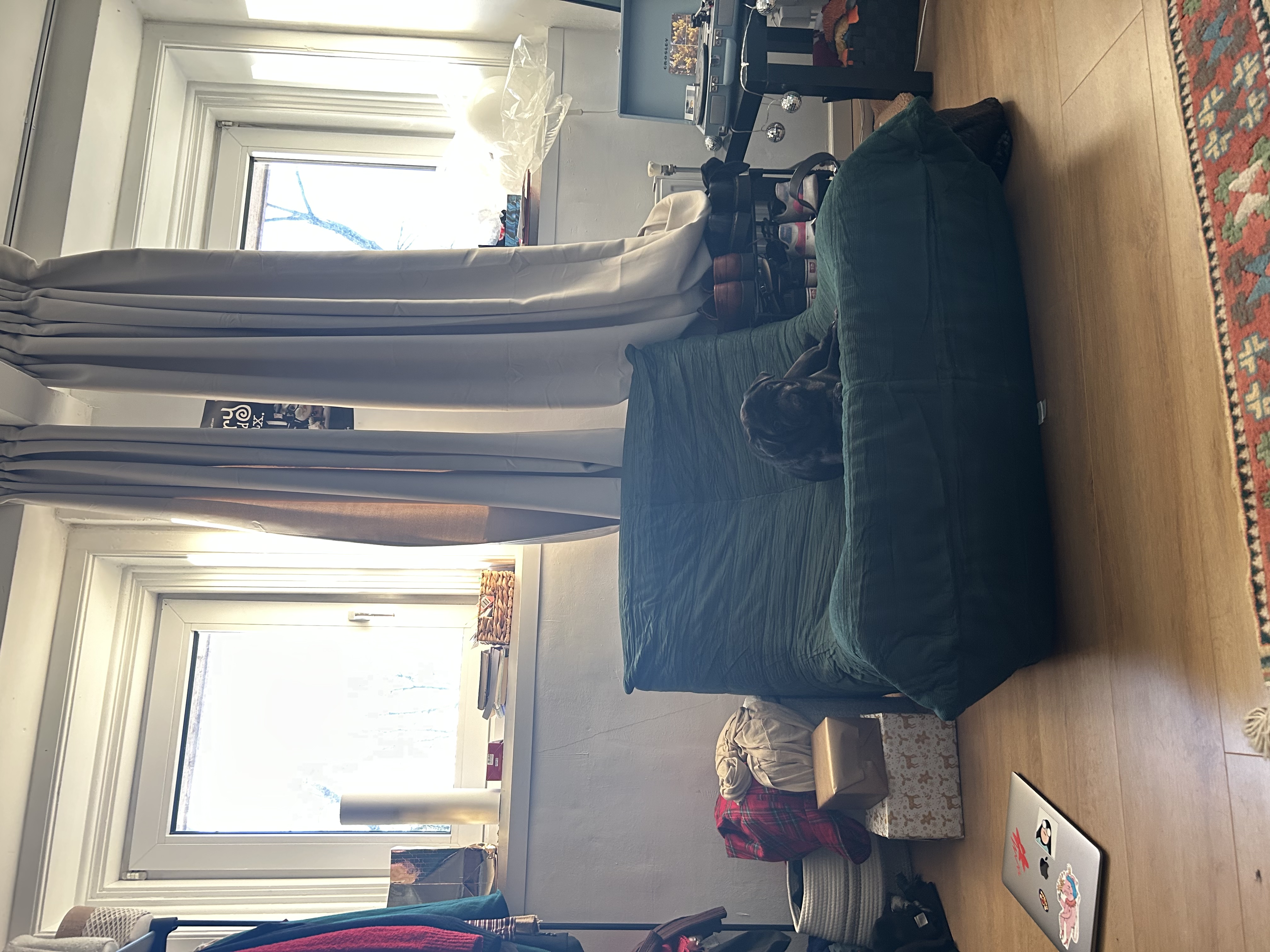 image-19