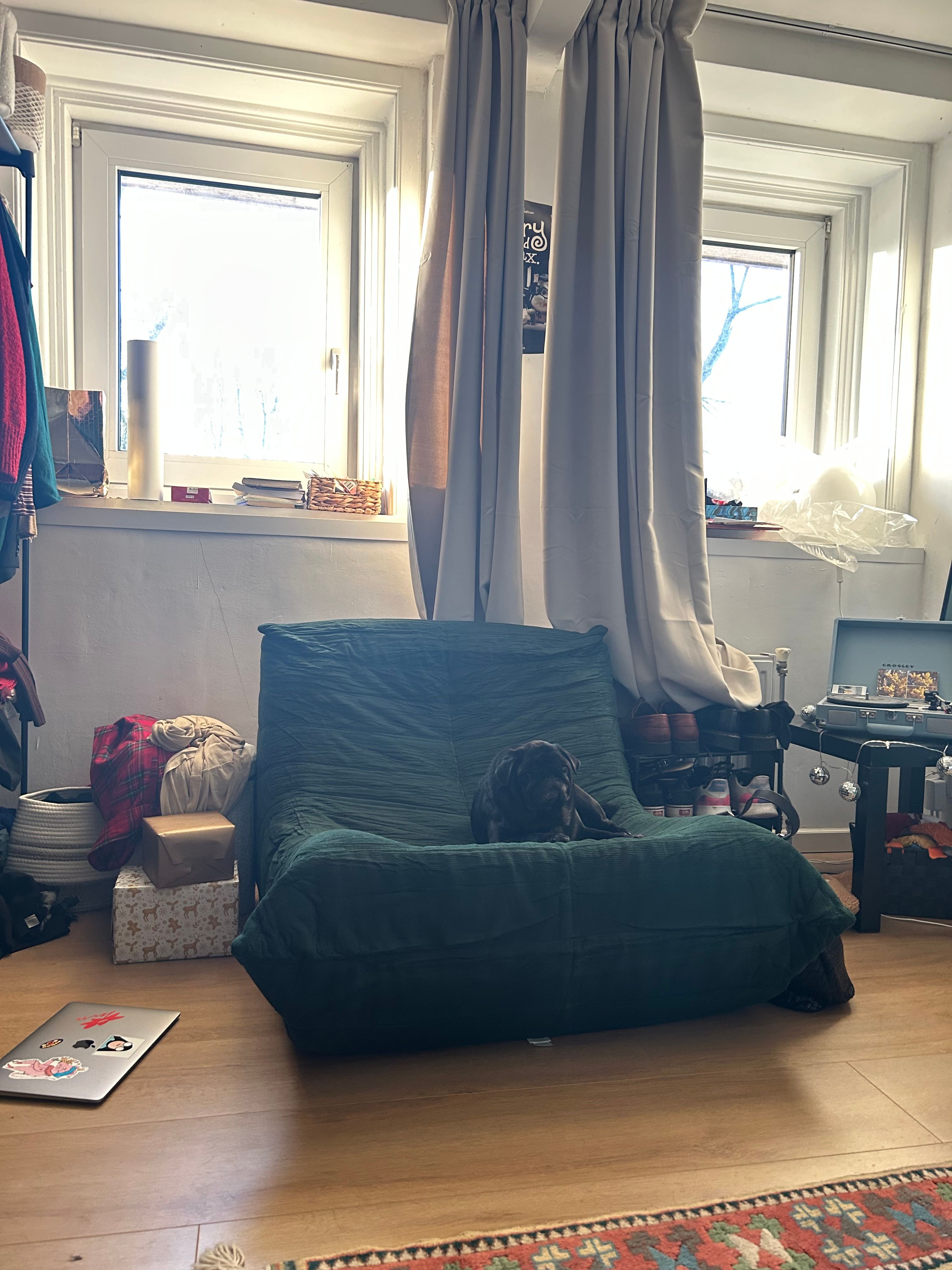 image-19