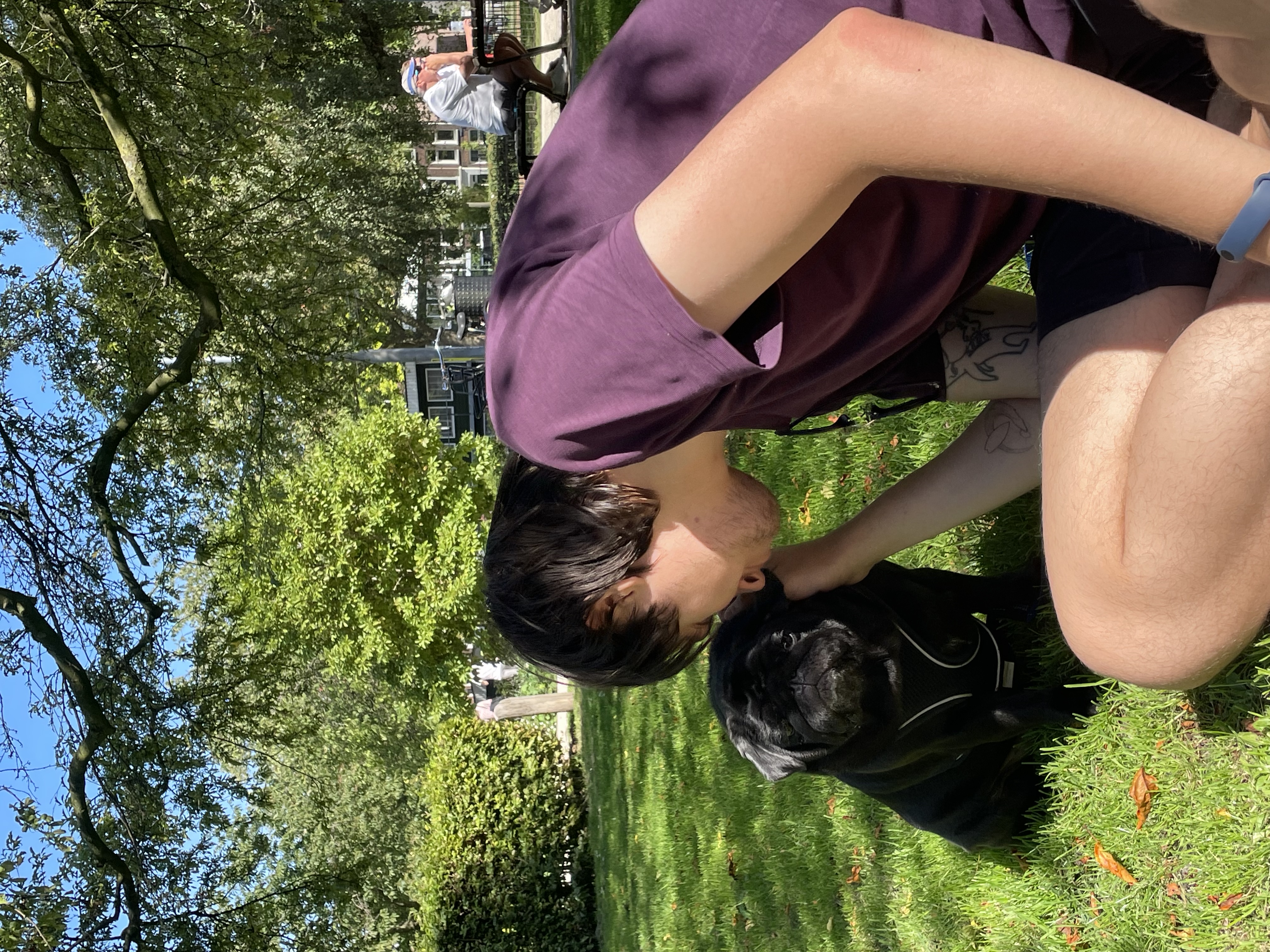 image-8