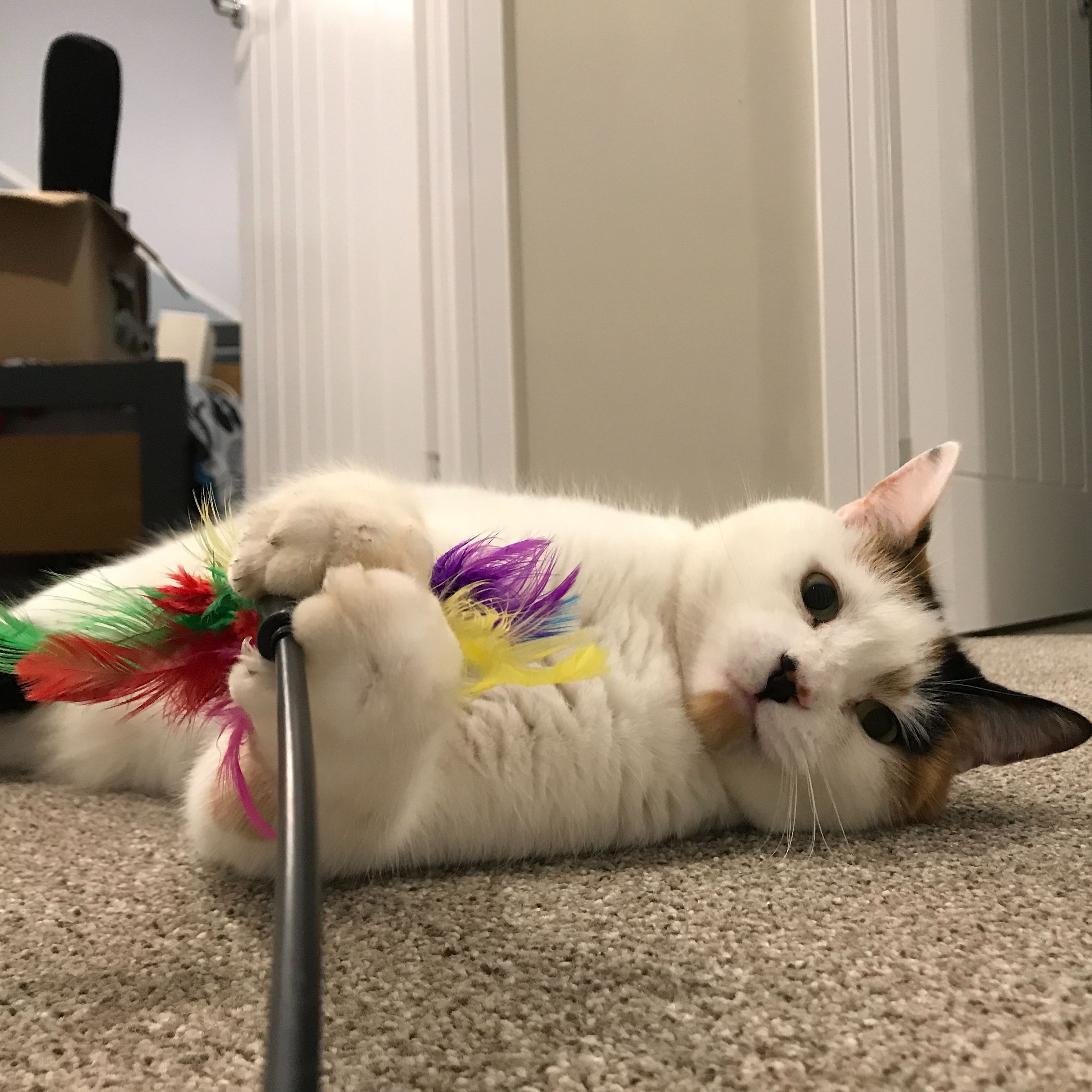Millie