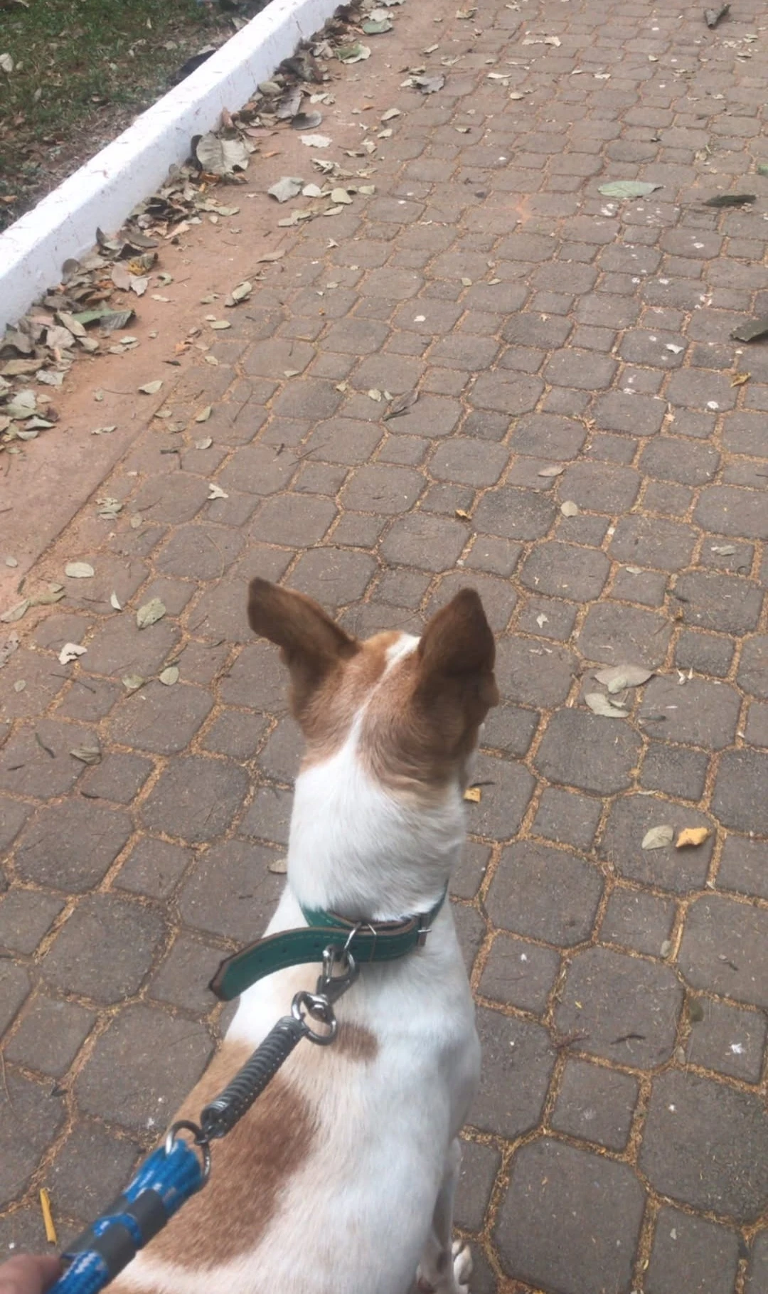 image-9