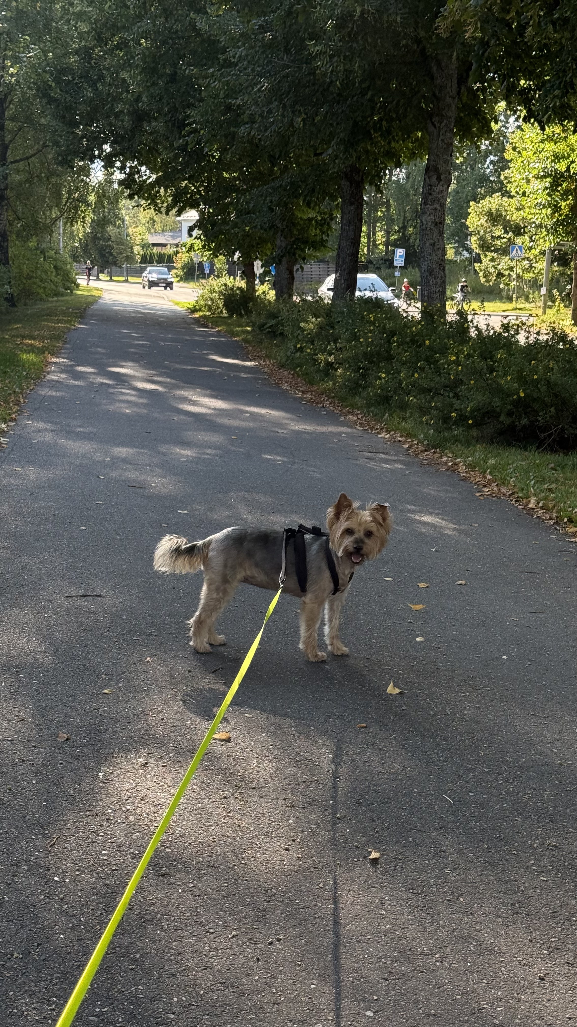 image-26