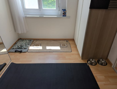 image-7