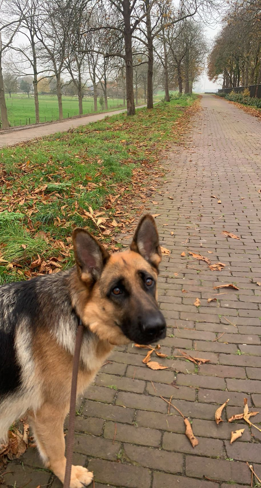 image-6