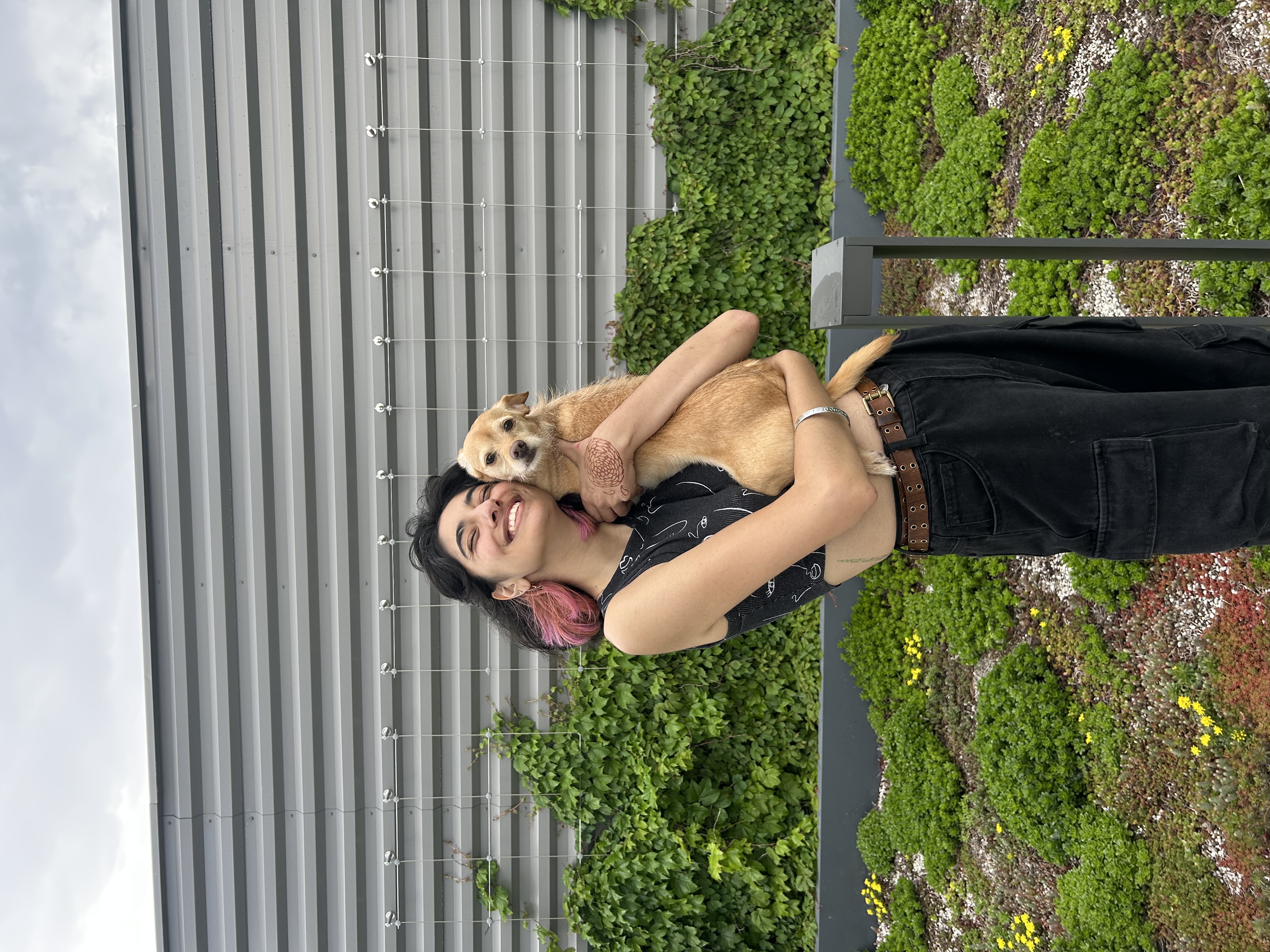 image-4