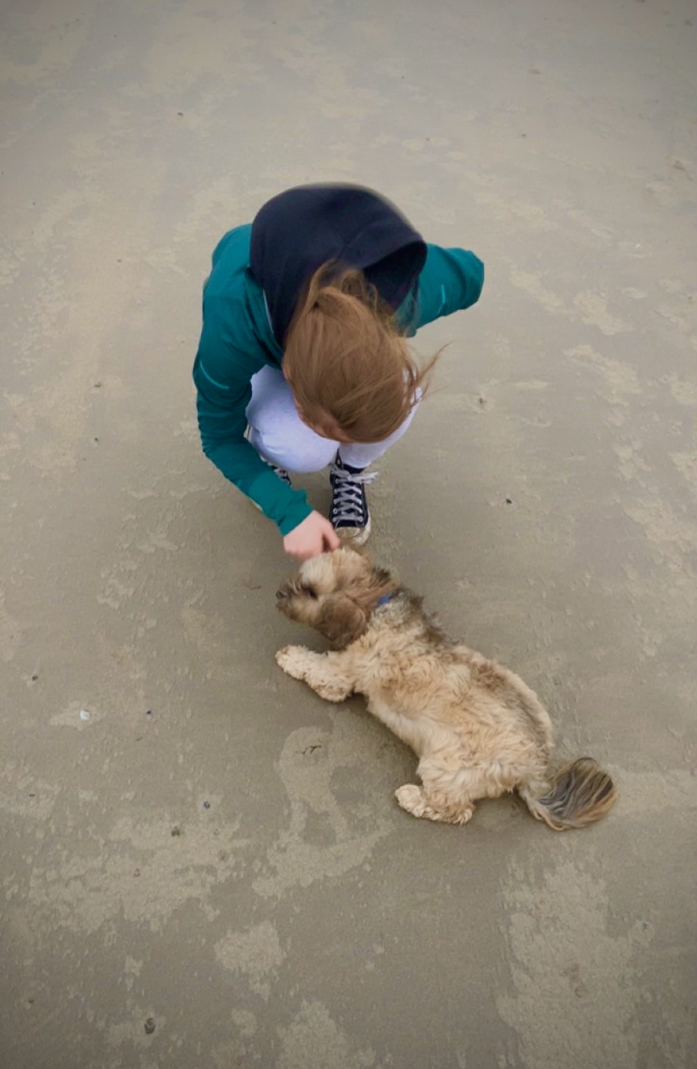 image-6