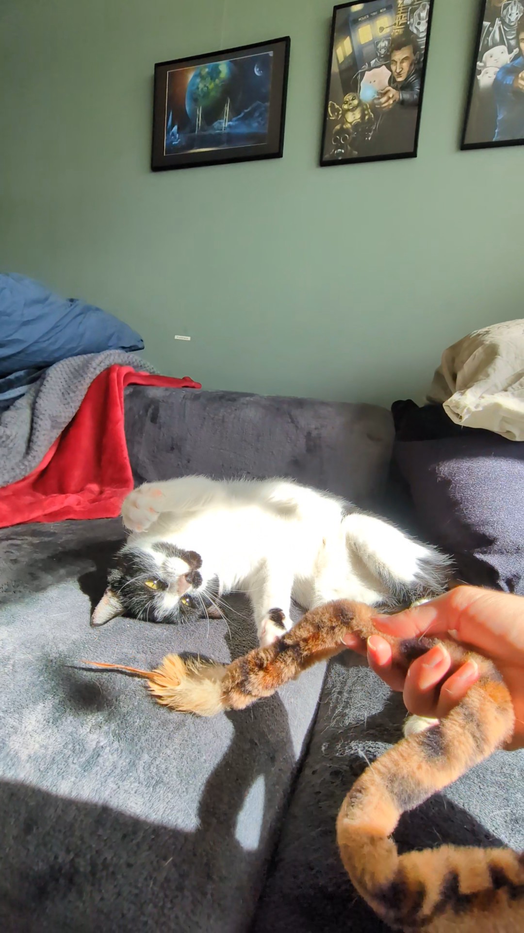 image-5