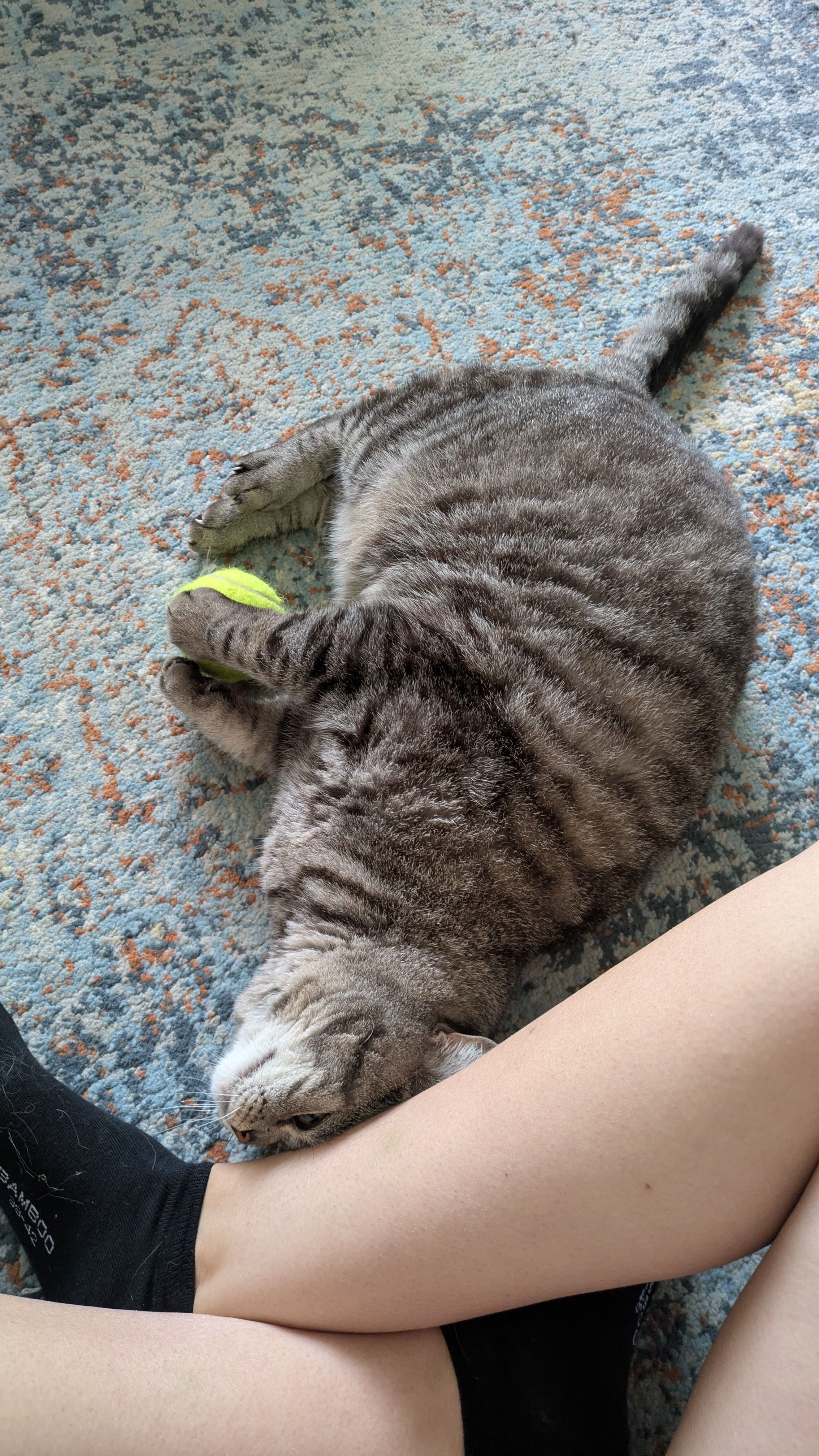 image-6