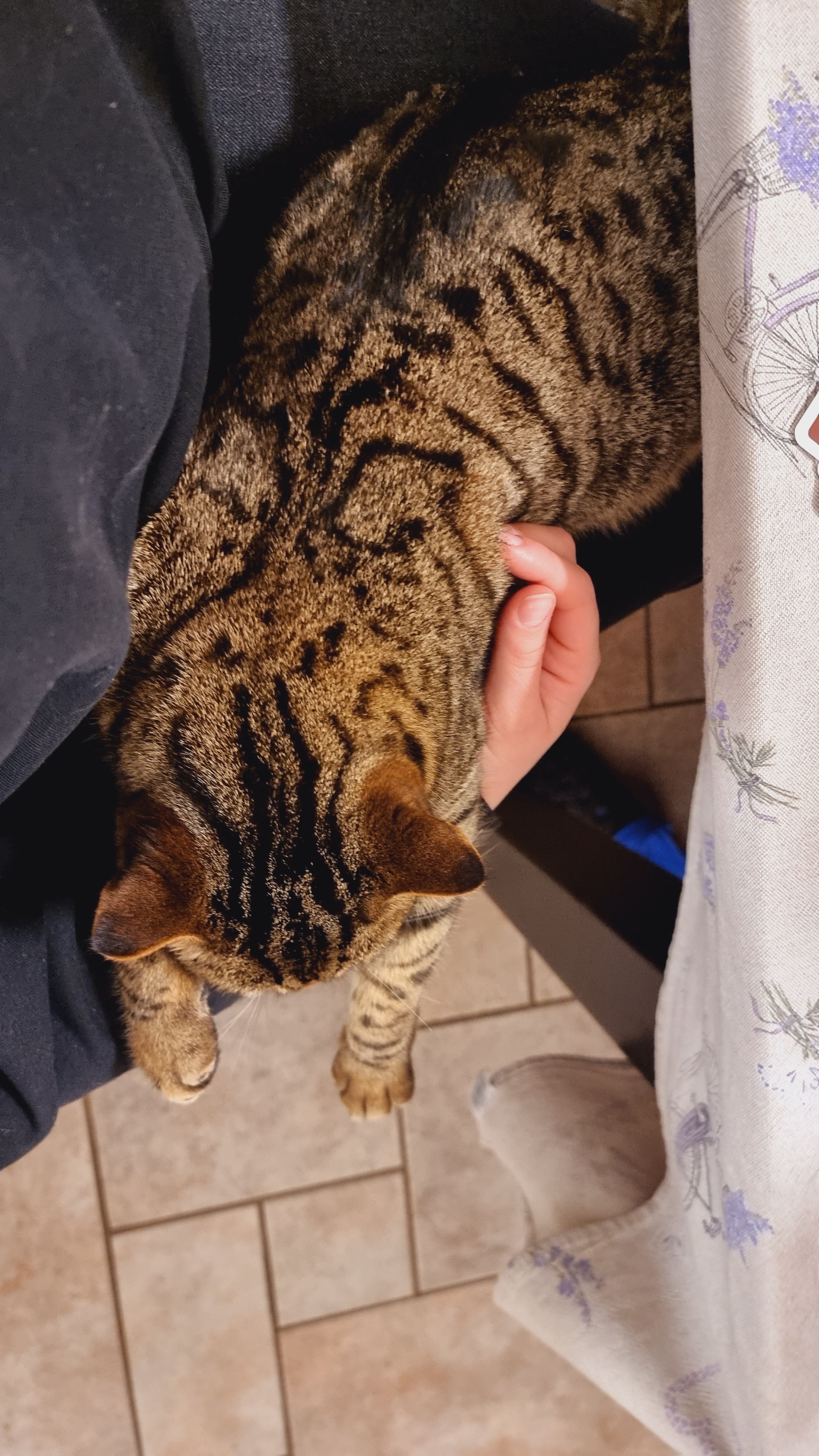 image-6