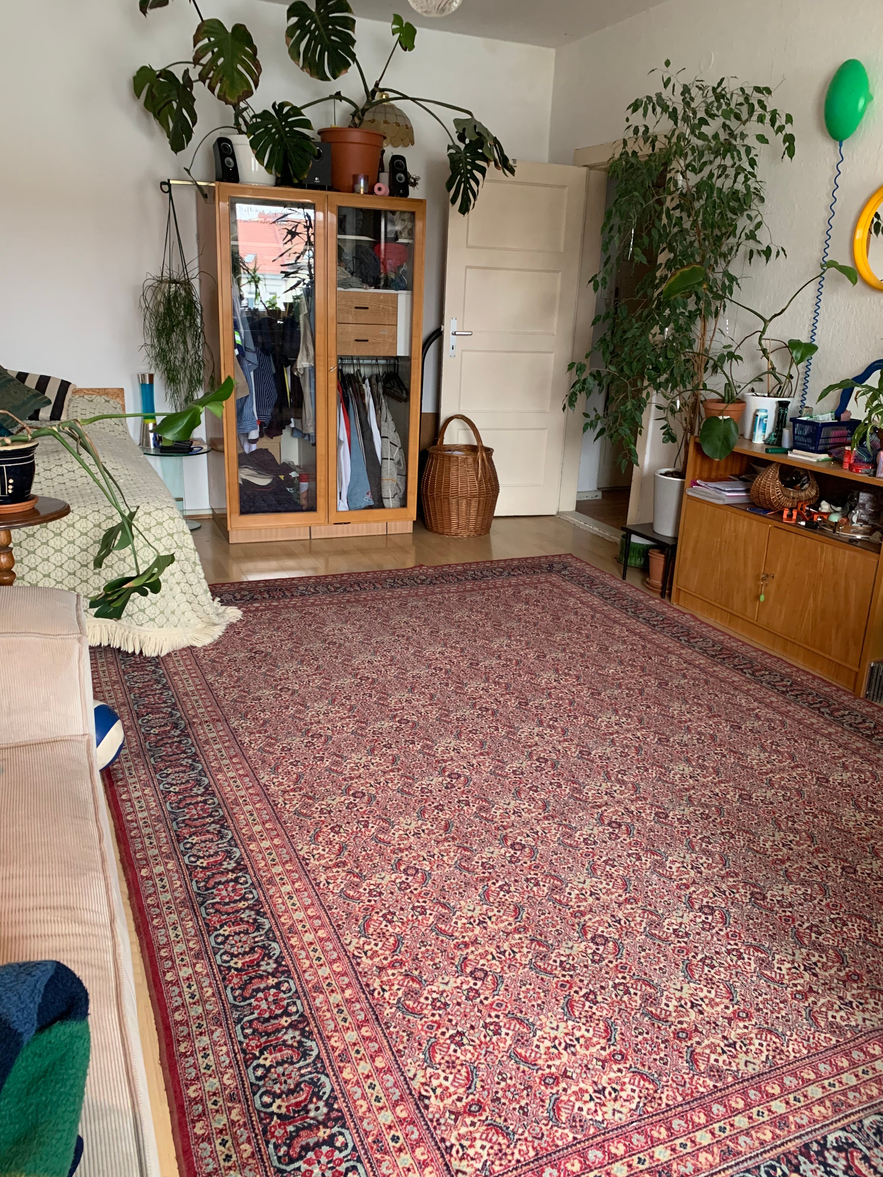 image-15