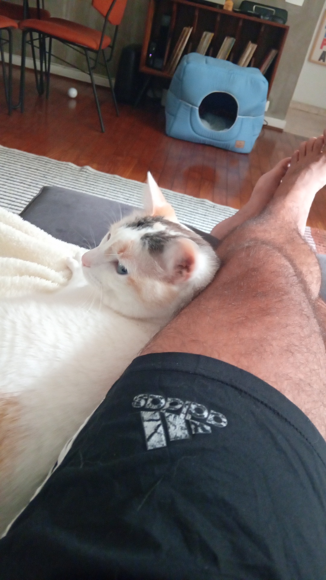 image-7
