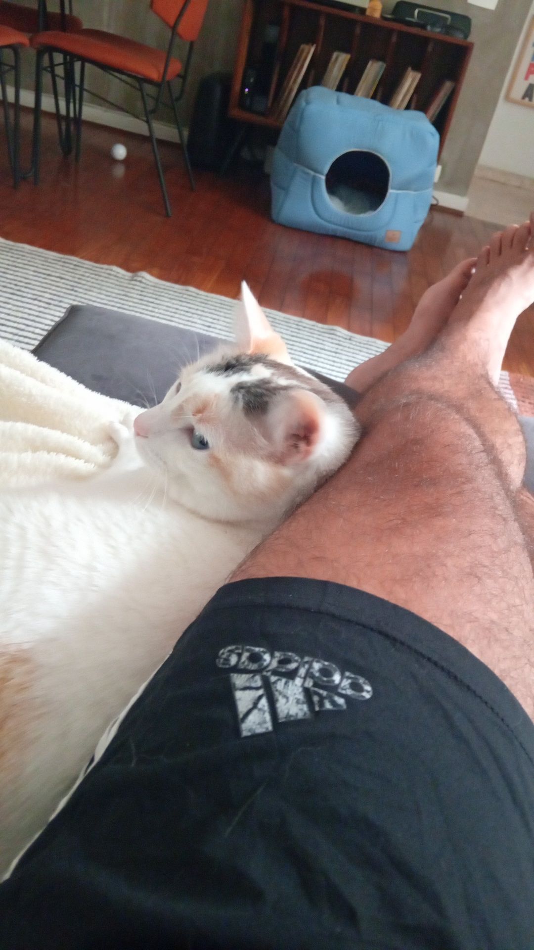 image-7