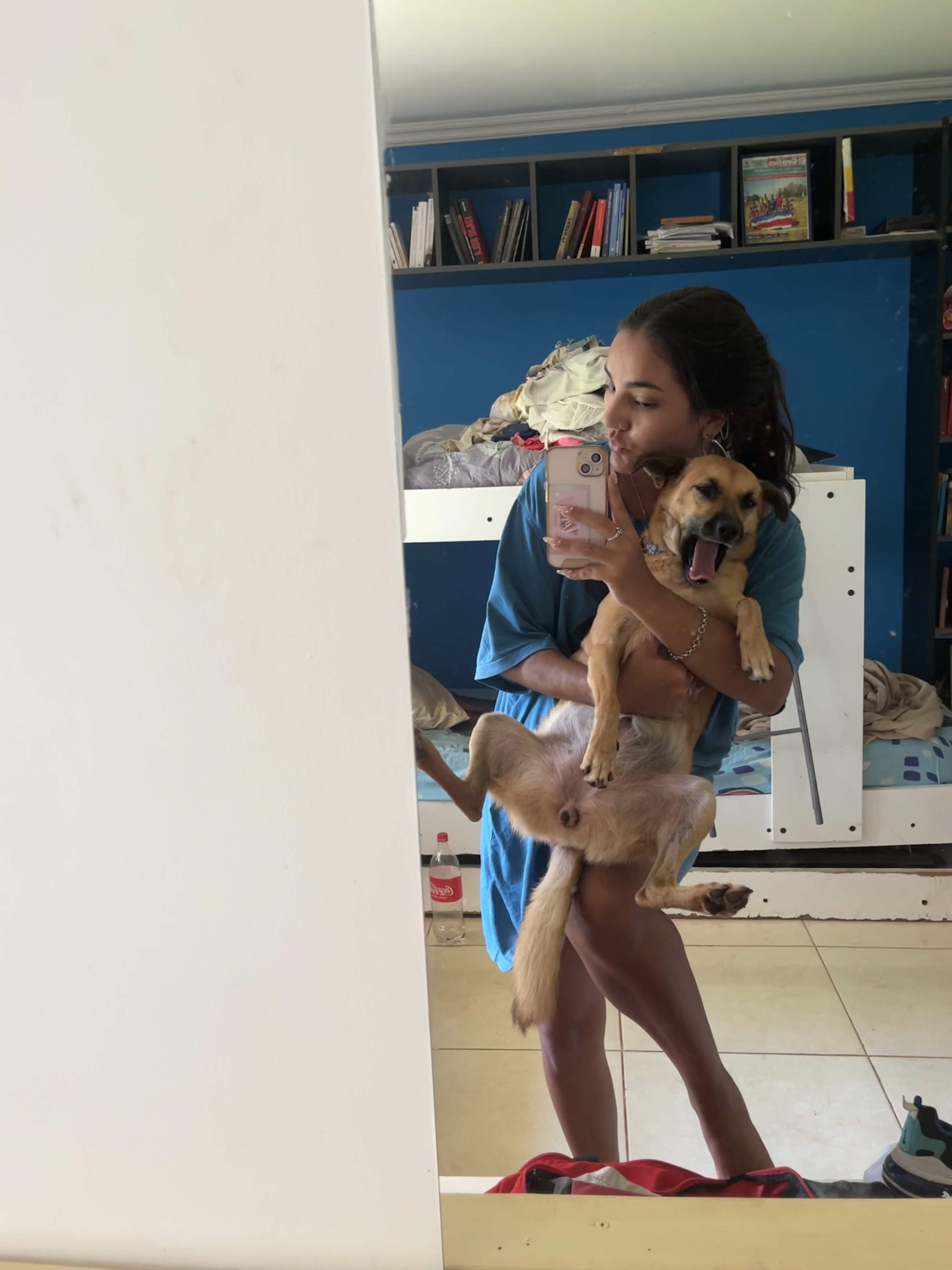 image-5