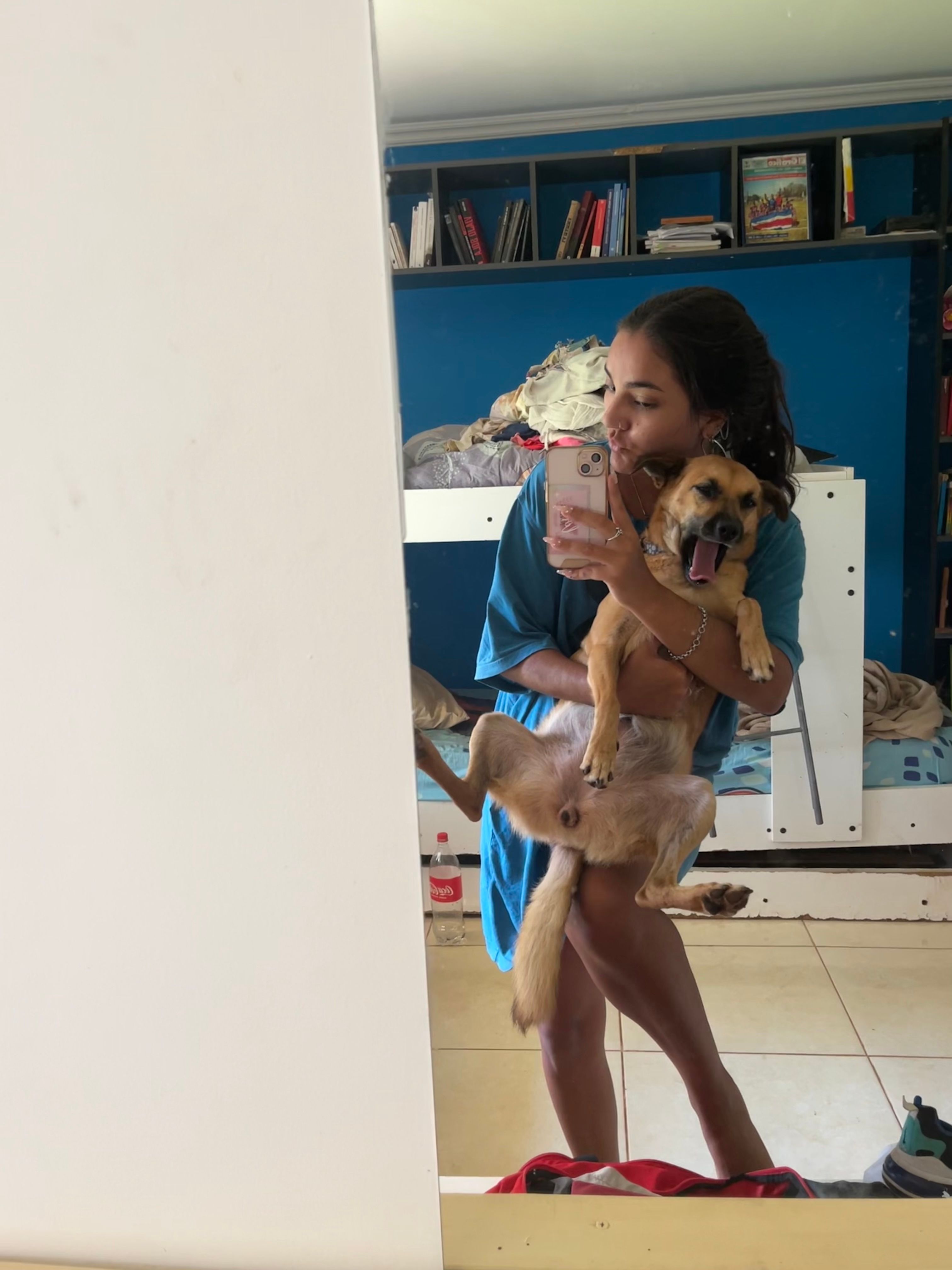 image-5