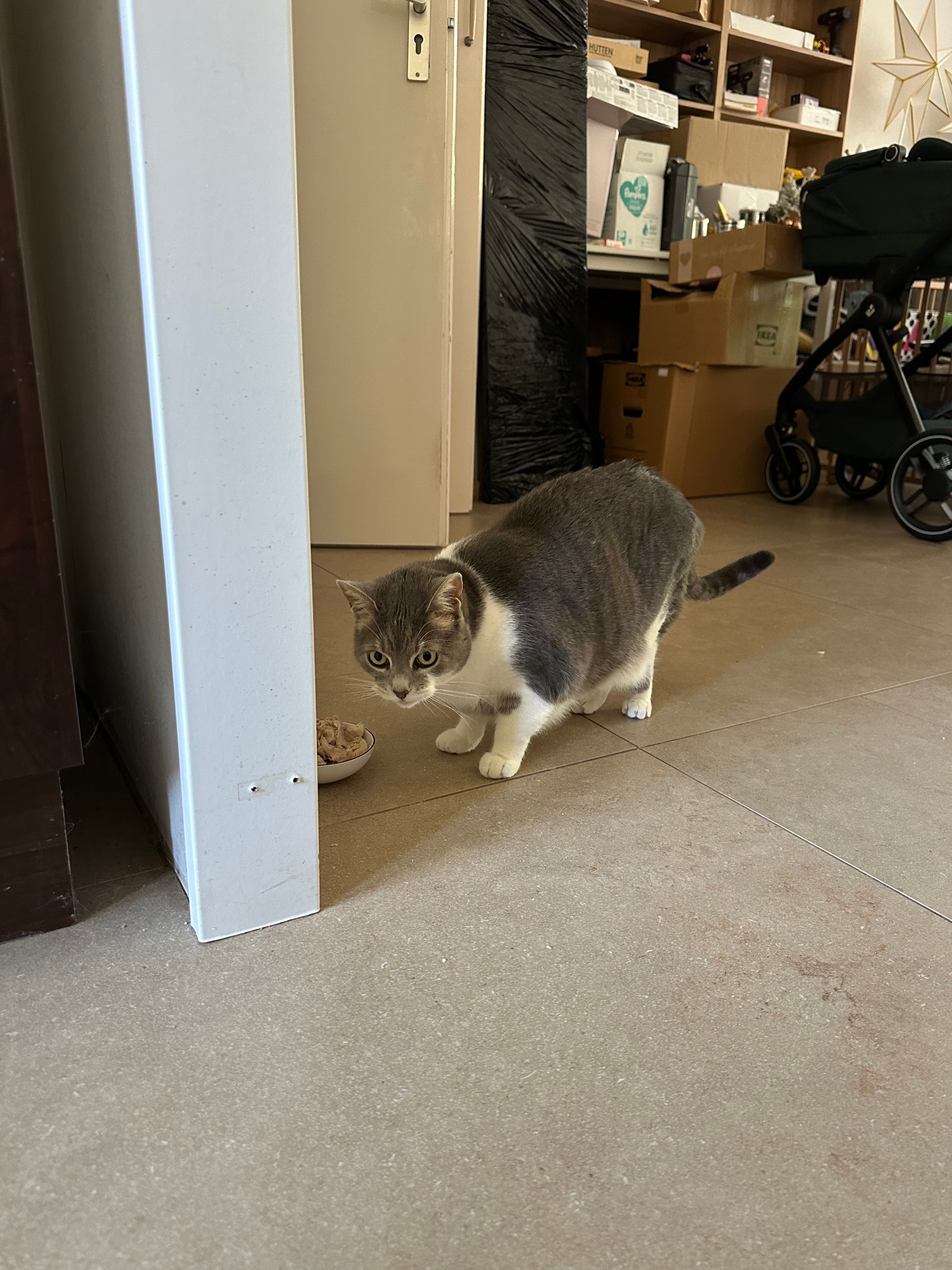 image-14
