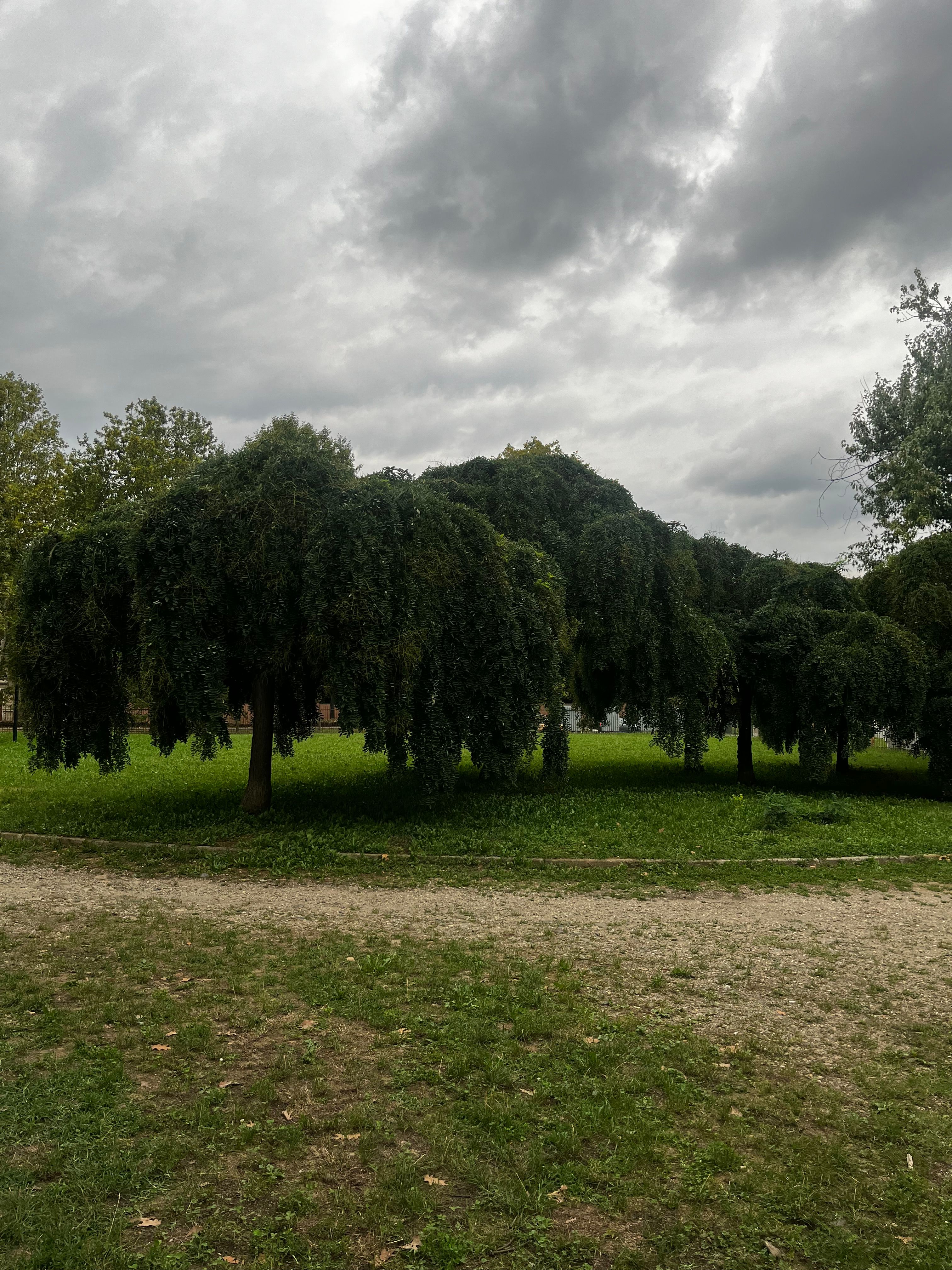 image-12