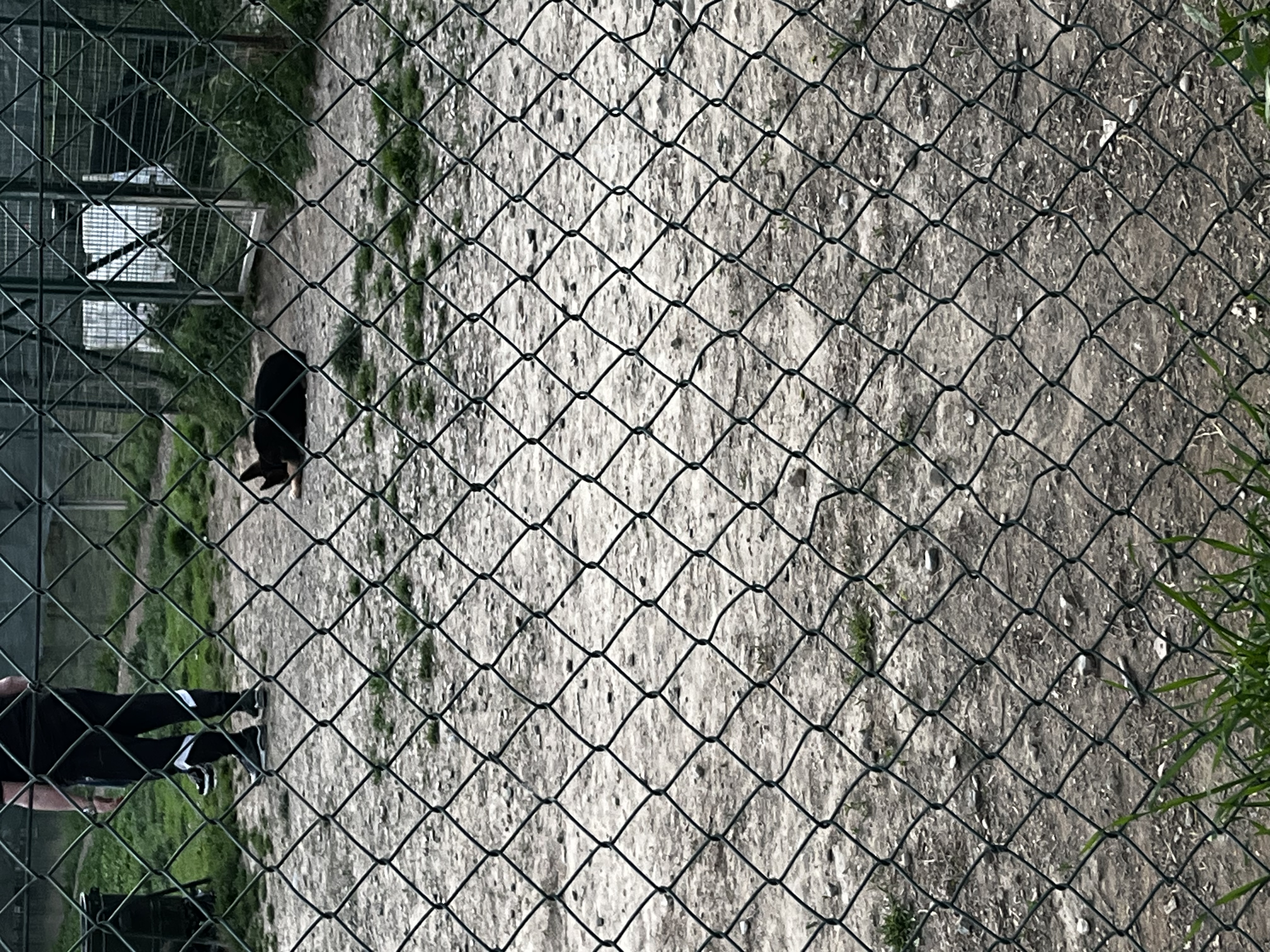 image-14