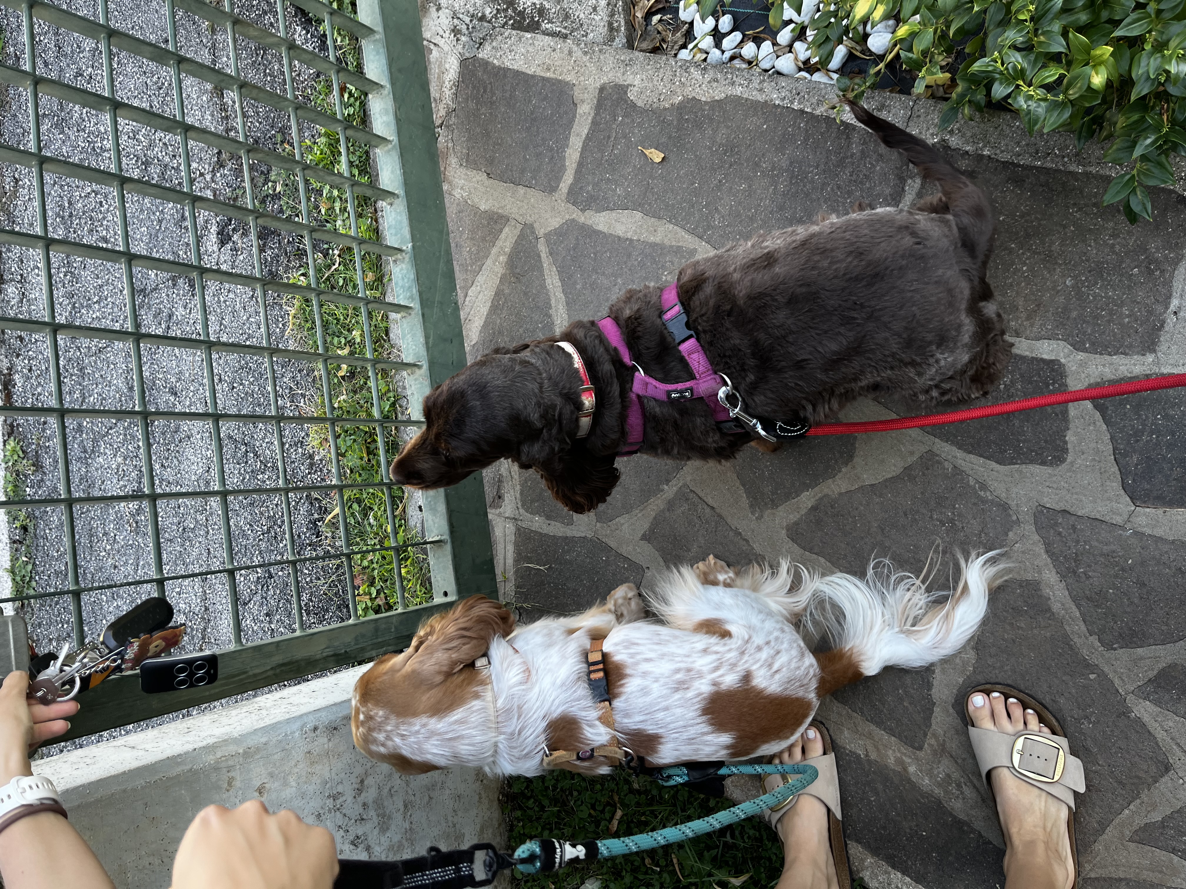 image-7