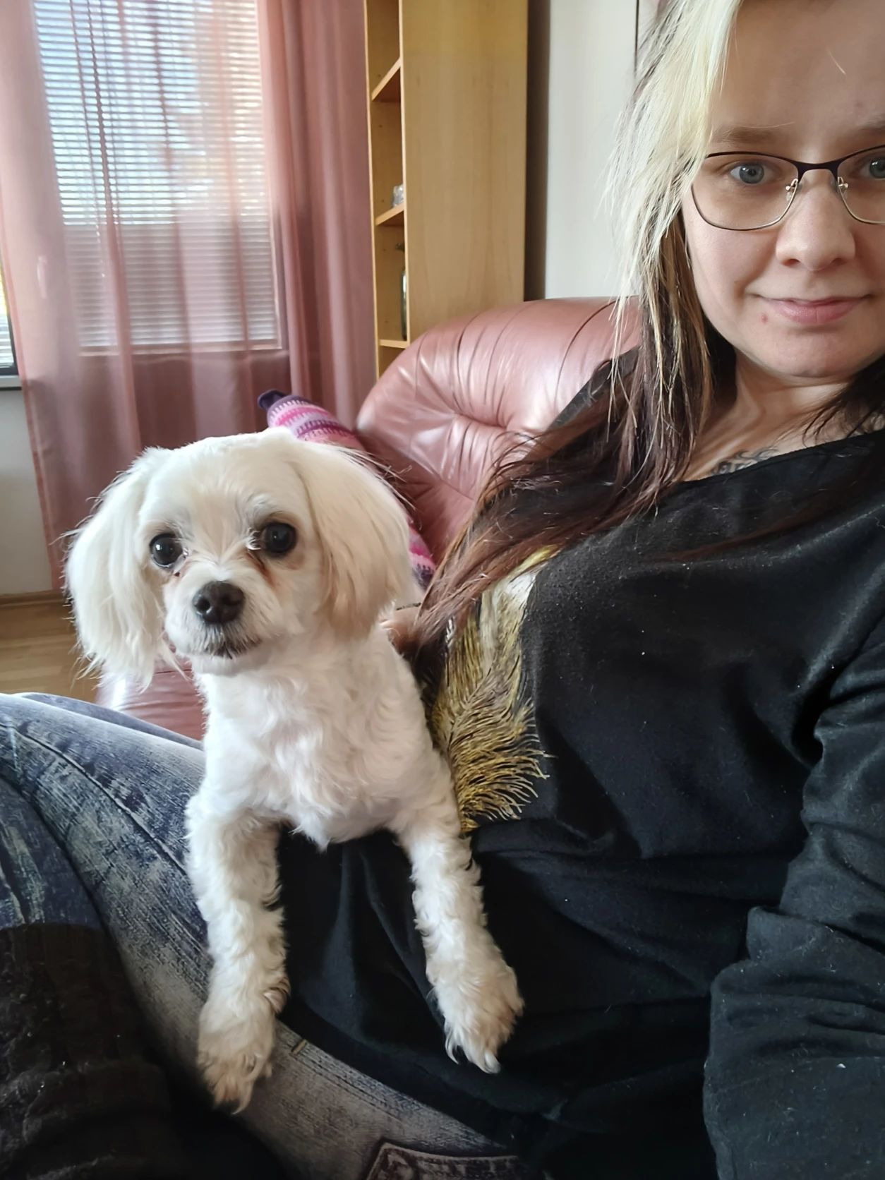 image-19