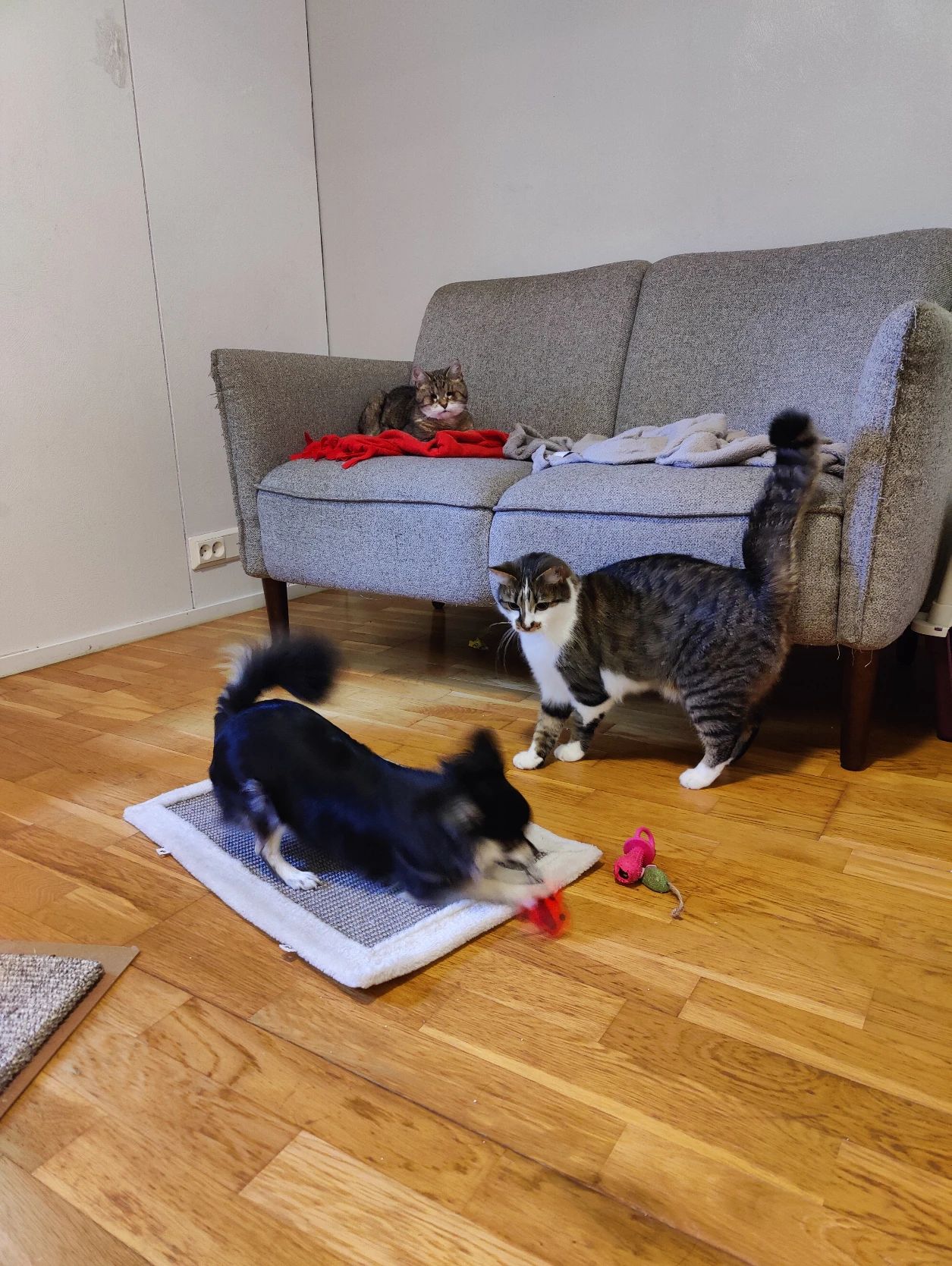 image-13