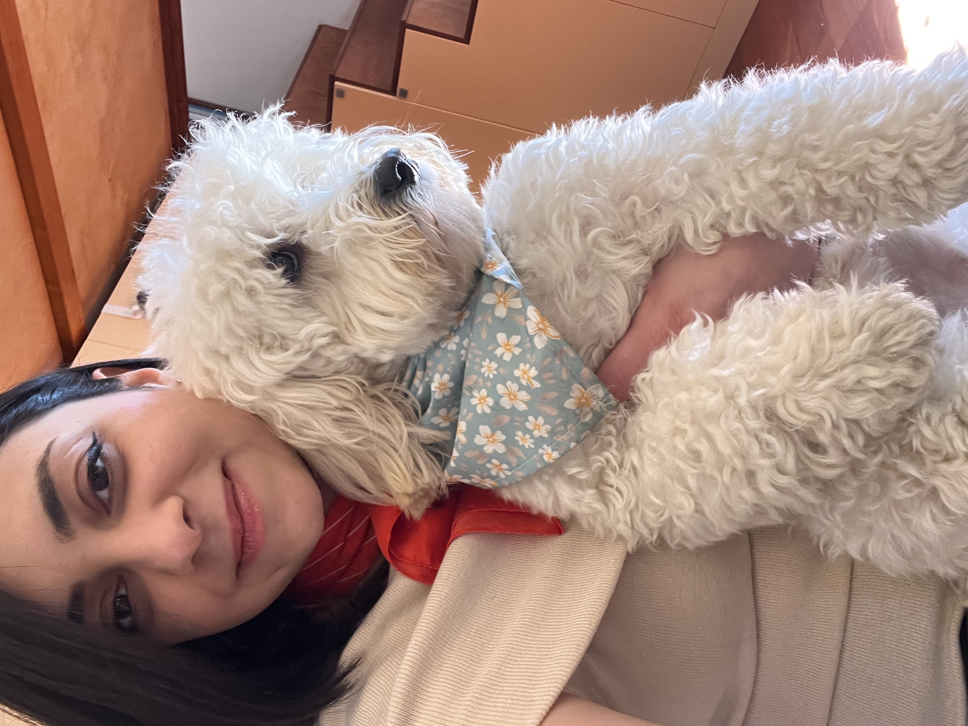 image-4