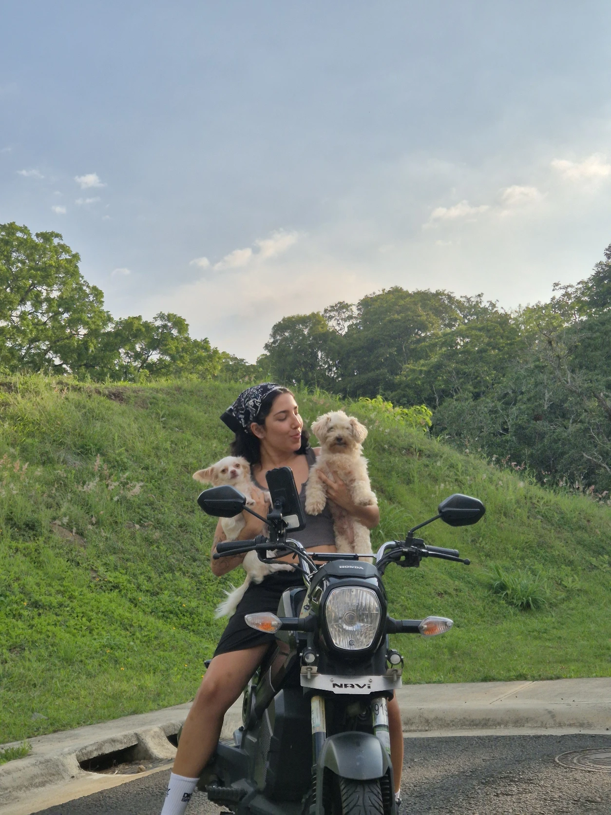 image-5
