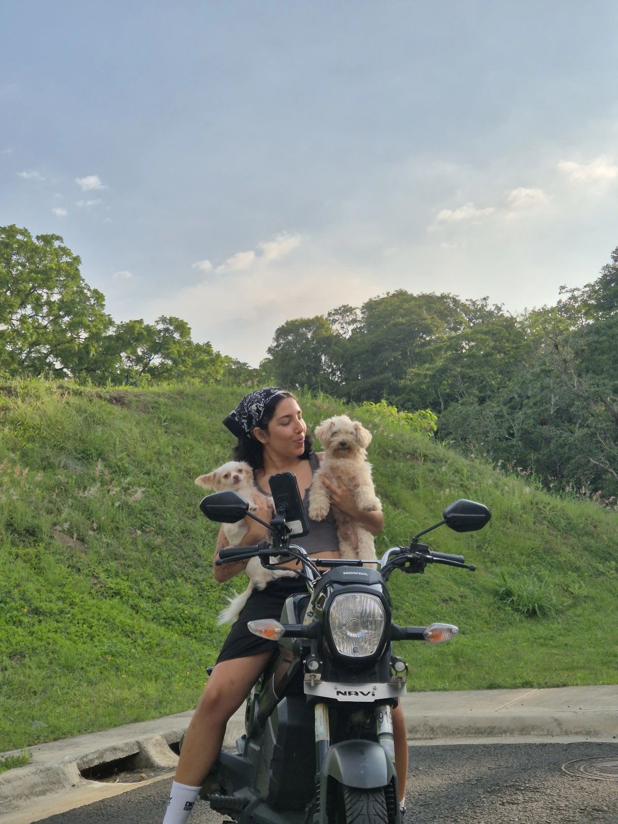 image-5